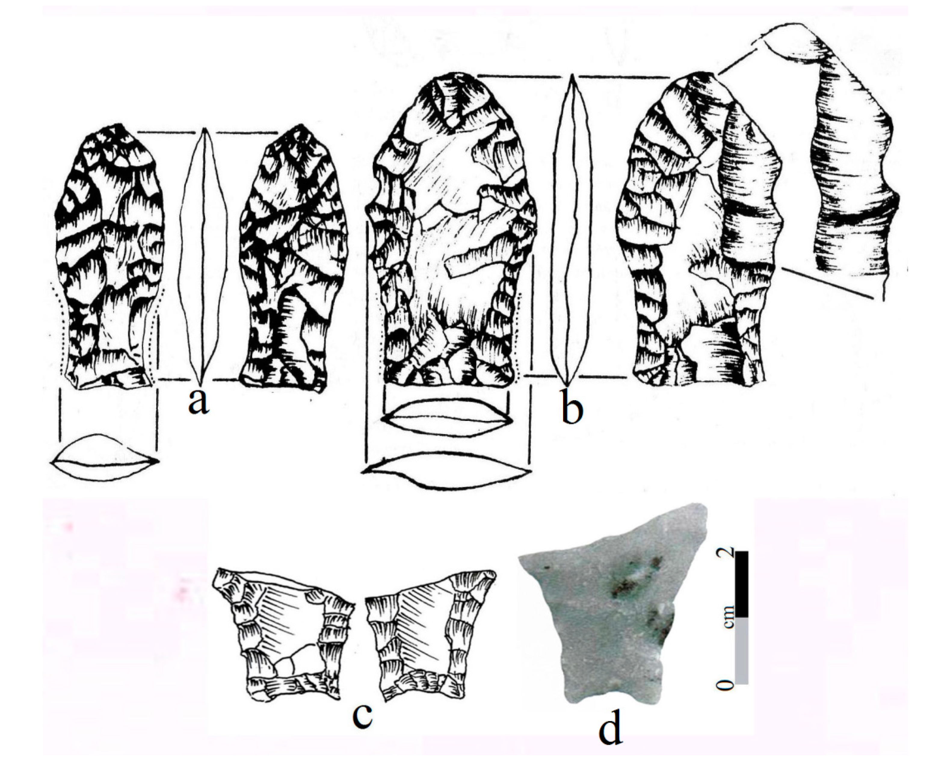 Quaternary 02 00028 g013