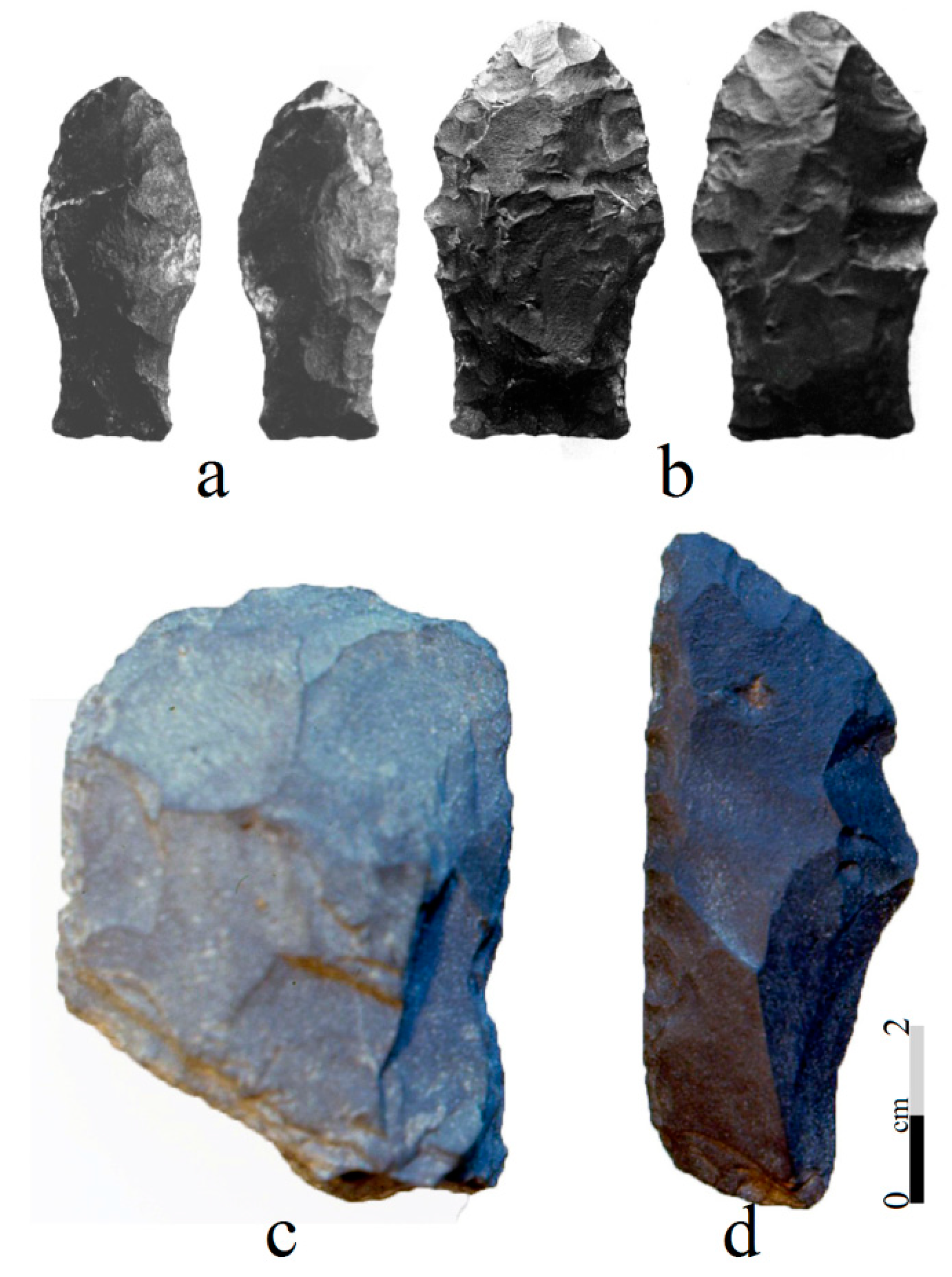 Quaternary 02 00028 g014