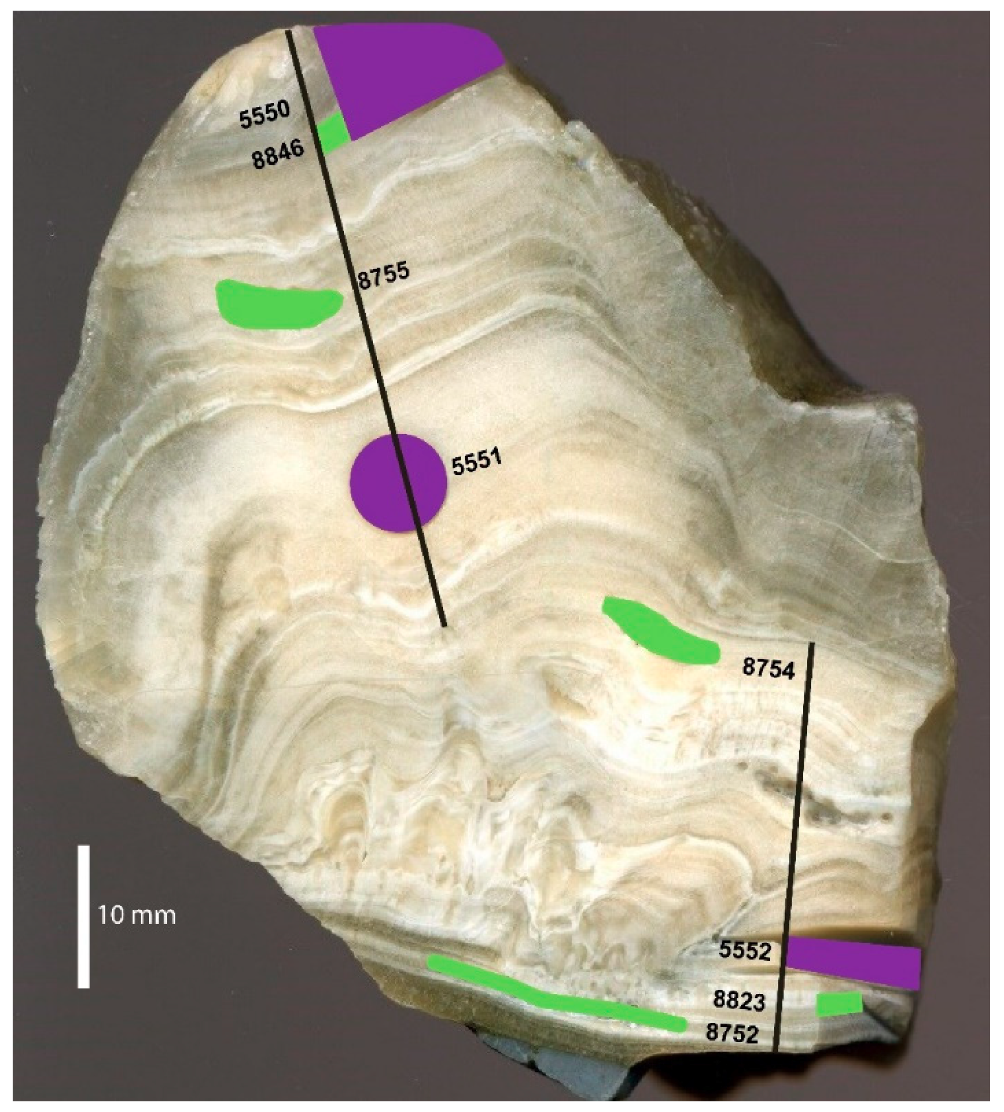 Quaternary 02 00029 g002