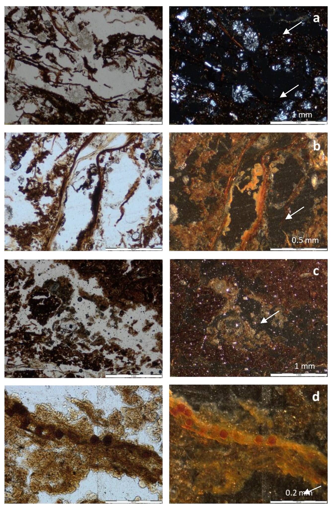 Quaternary 02 00032 g002