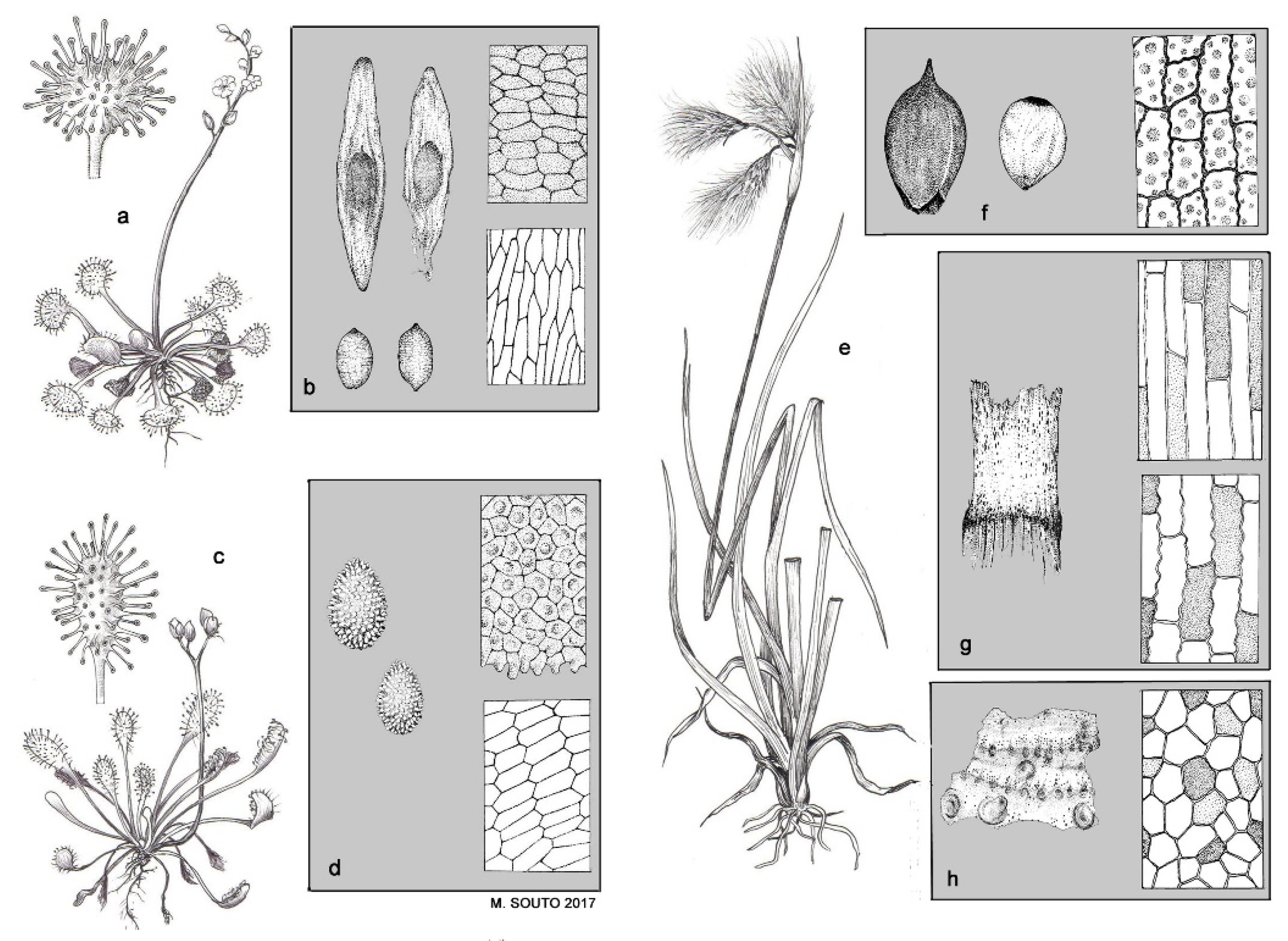 Quaternary 02 00034 g002