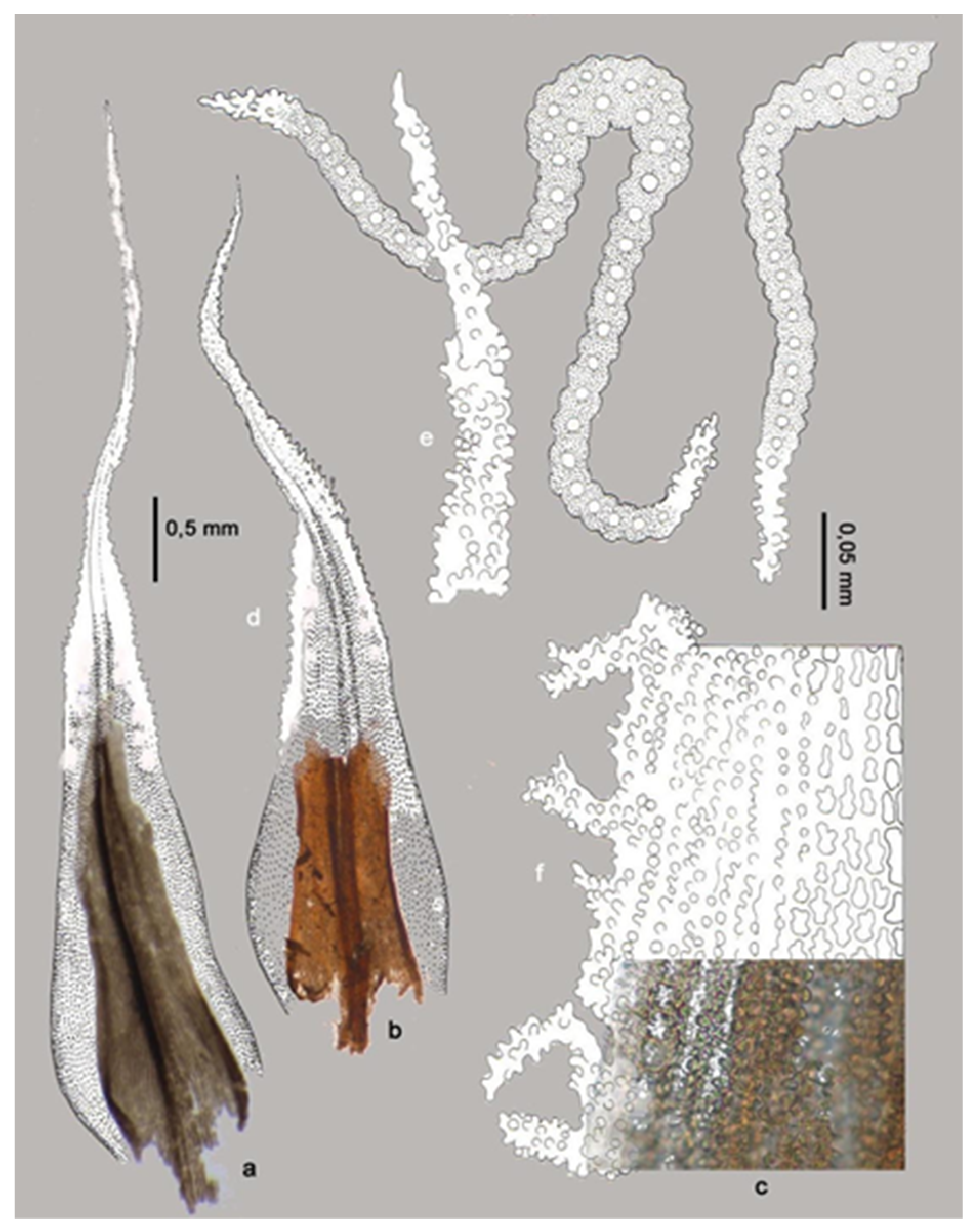 Quaternary 02 00034 g003