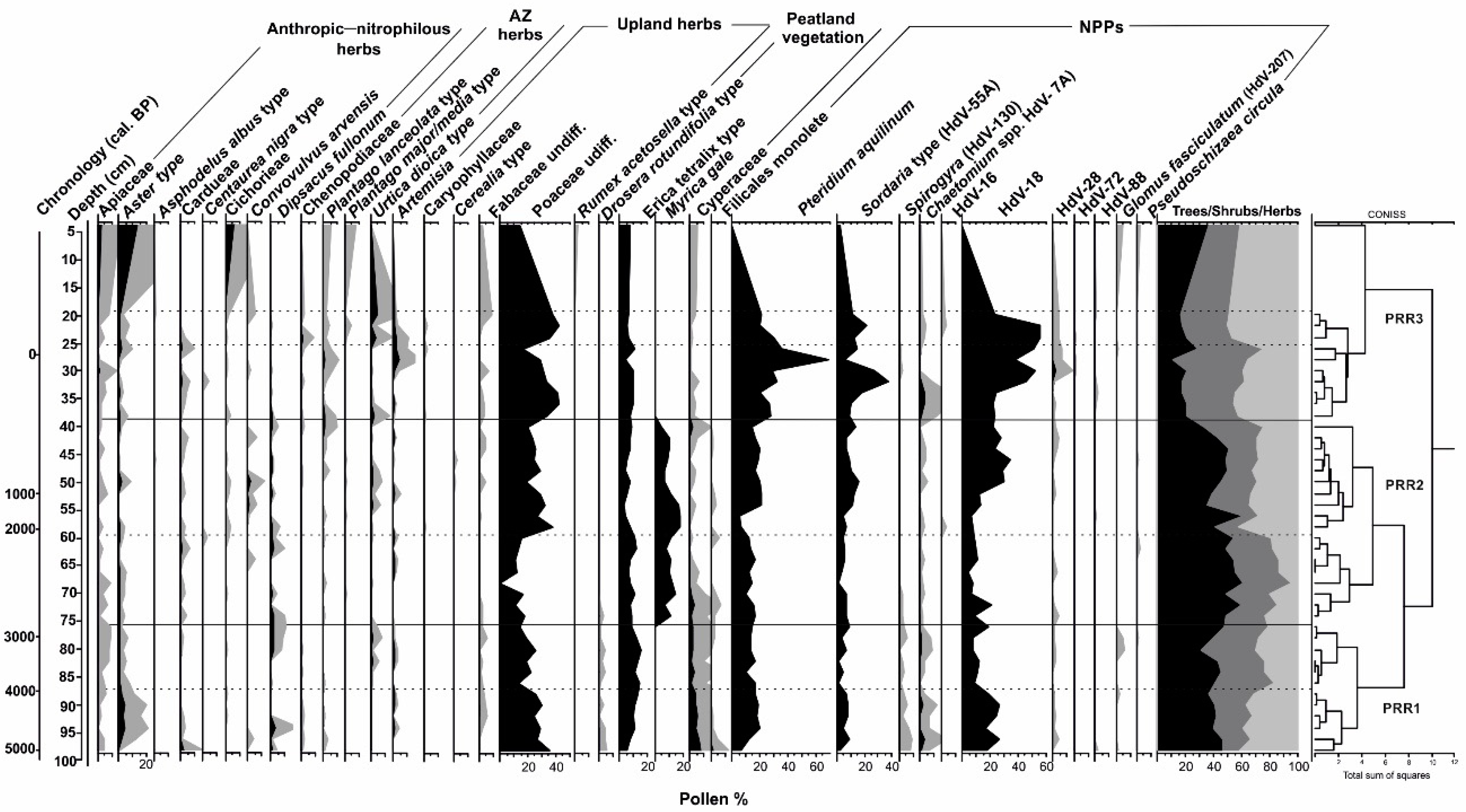 Quaternary 02 00035 g004 Quaternary 02 00035 g004