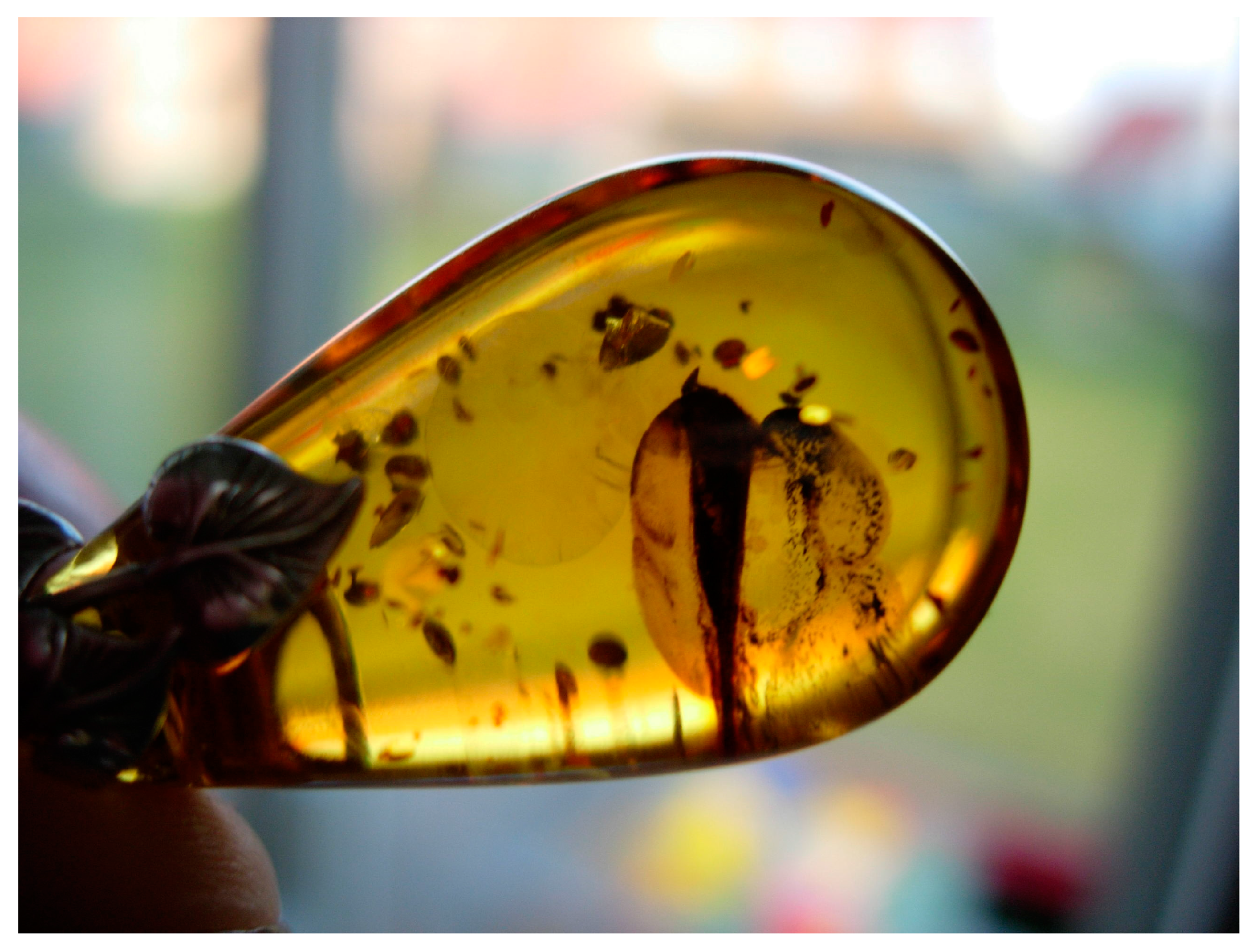 Quaternary 02 00037 g002