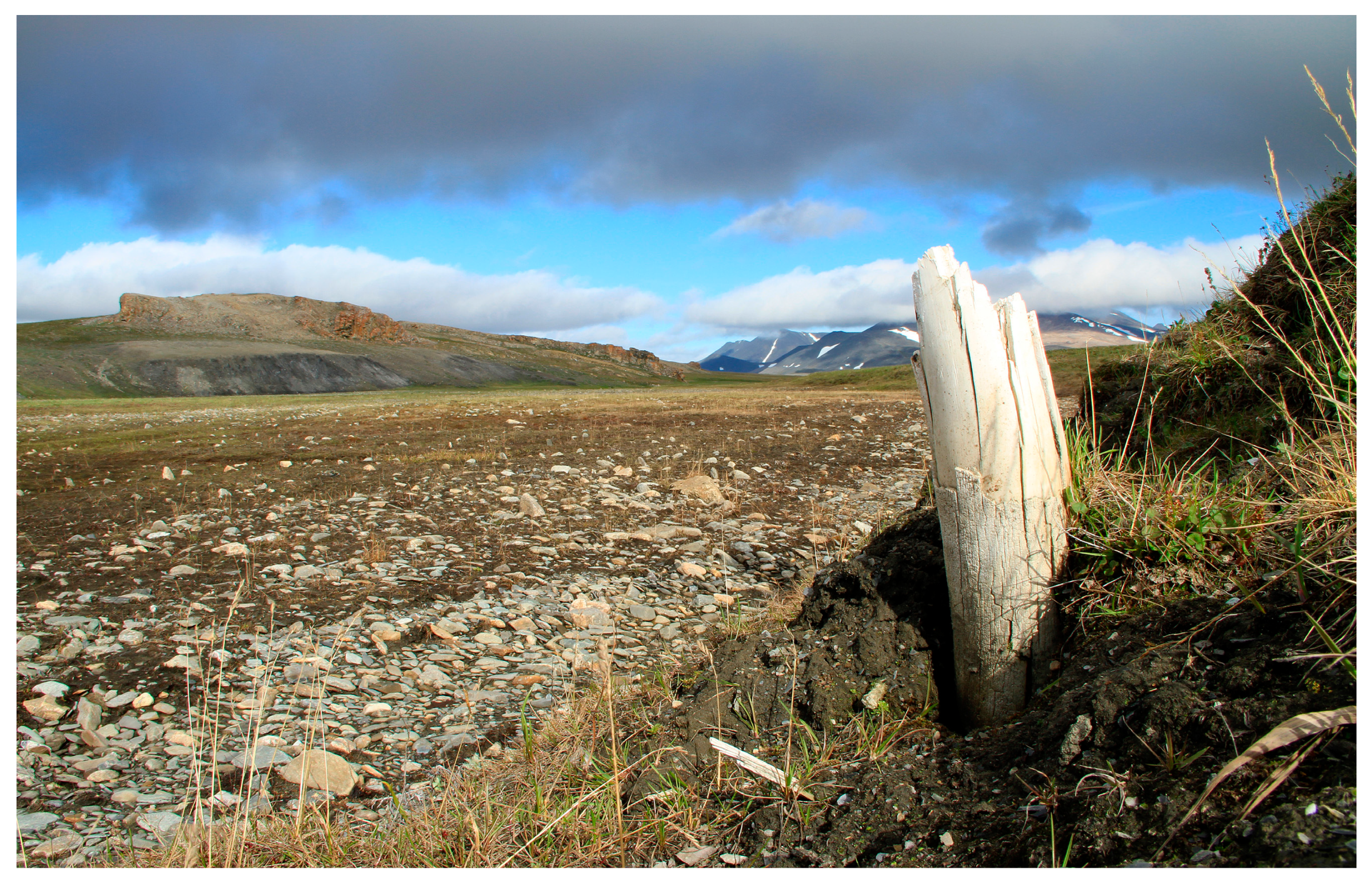 Quaternary 02 00037 g003