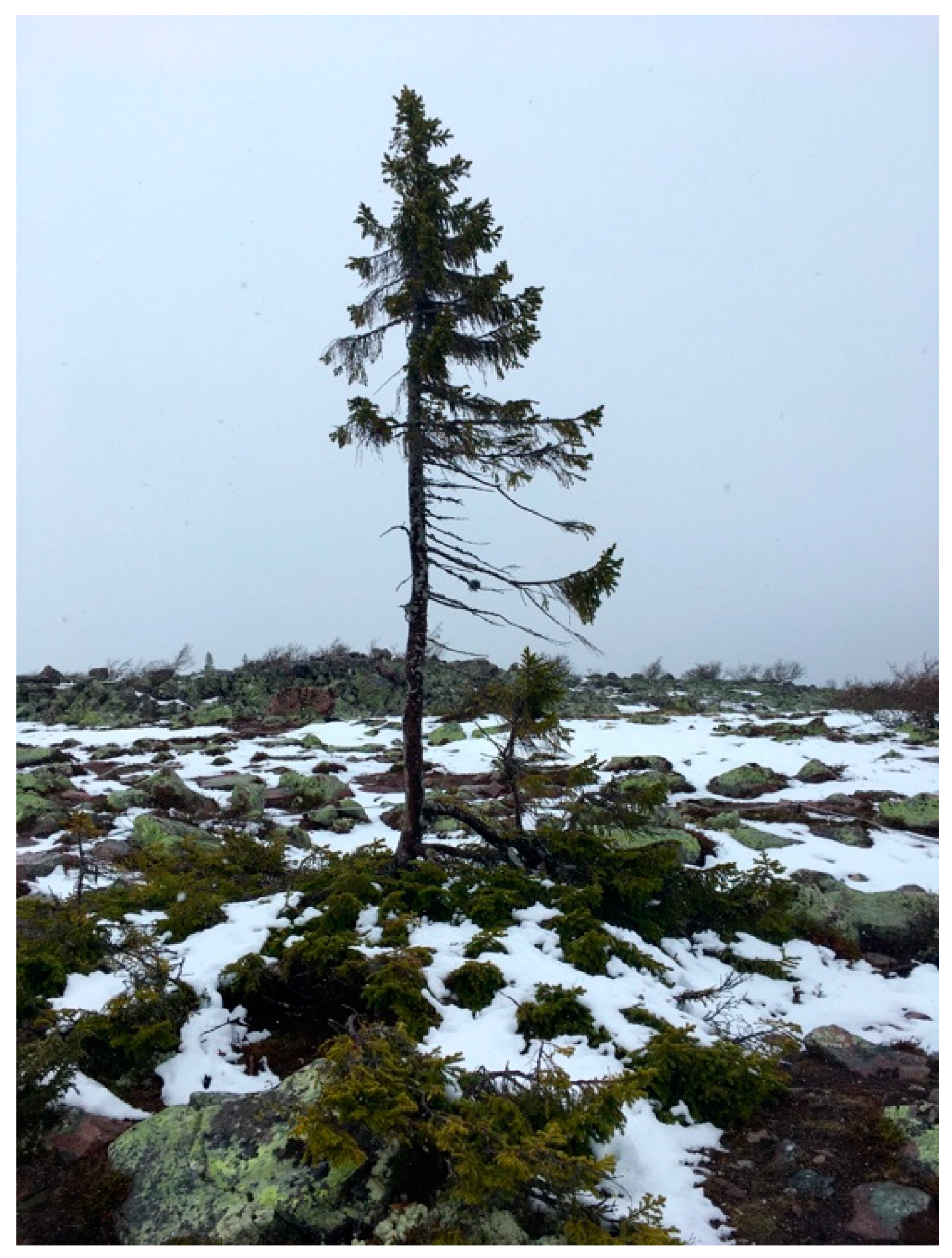 Quaternary 02 00037 g004