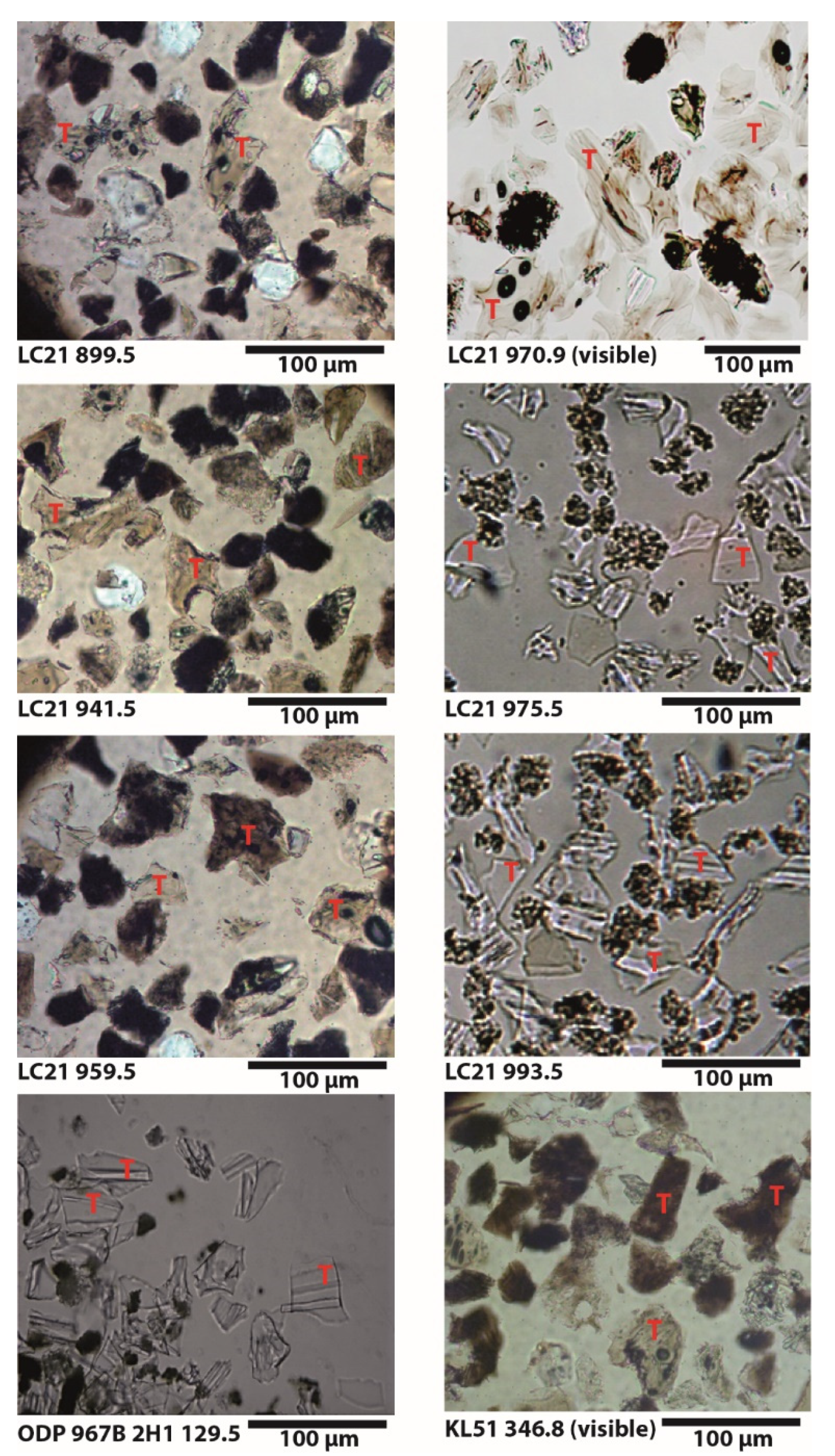 Quaternary 03 00006 g004