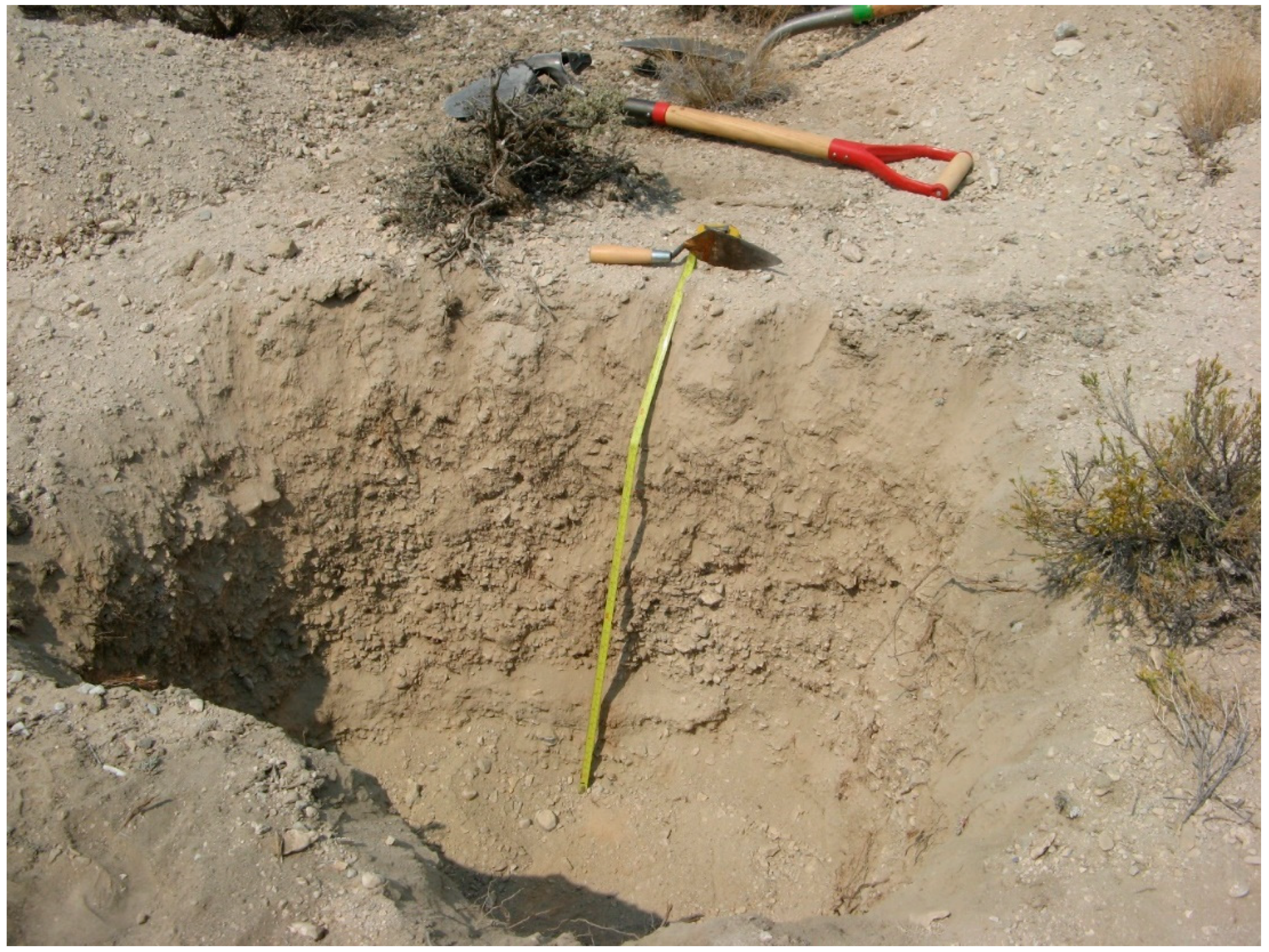 Quaternary 03 00011 g009