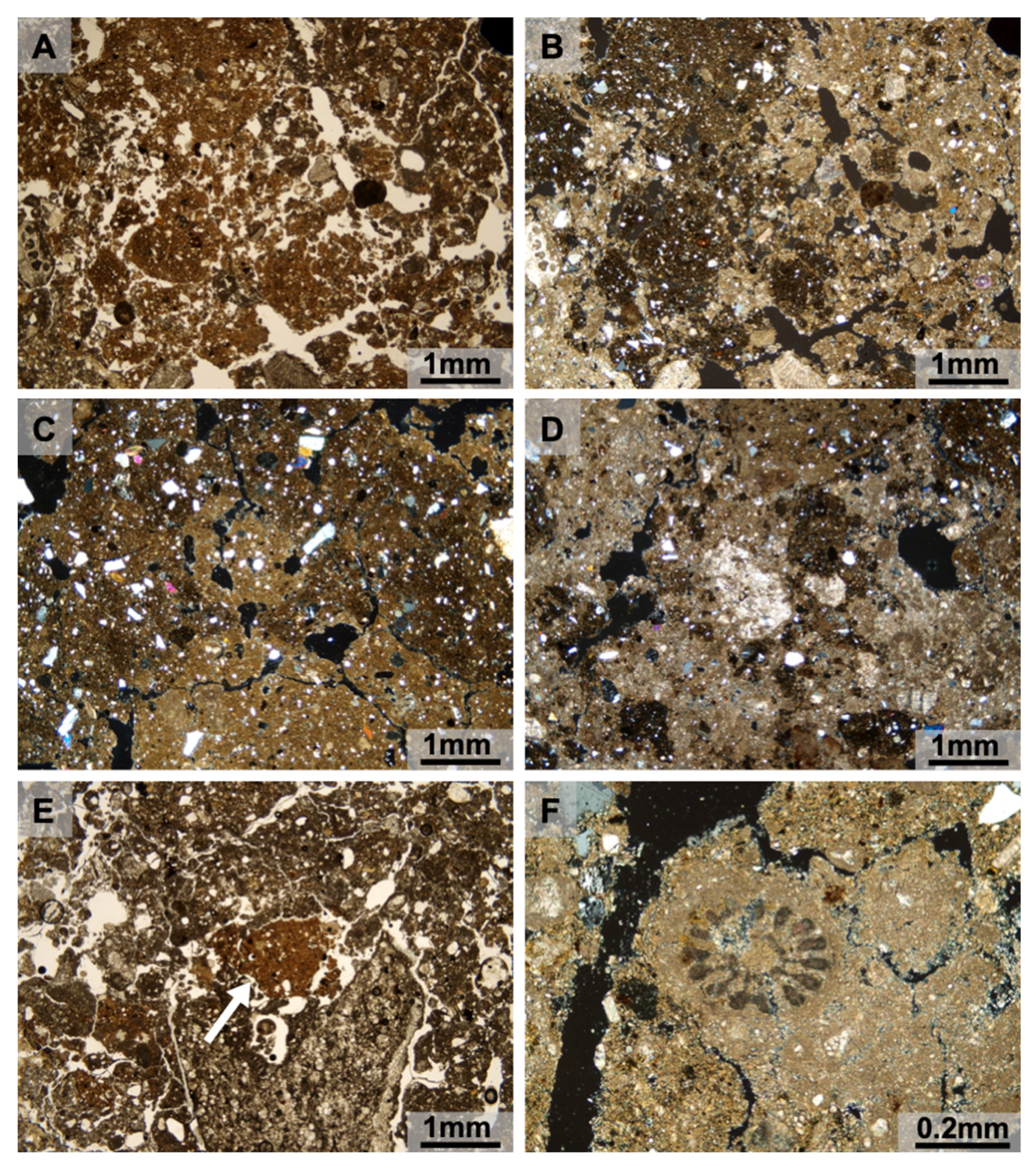 Quaternary 03 00014 g005 Quaternary 03 00014 g005