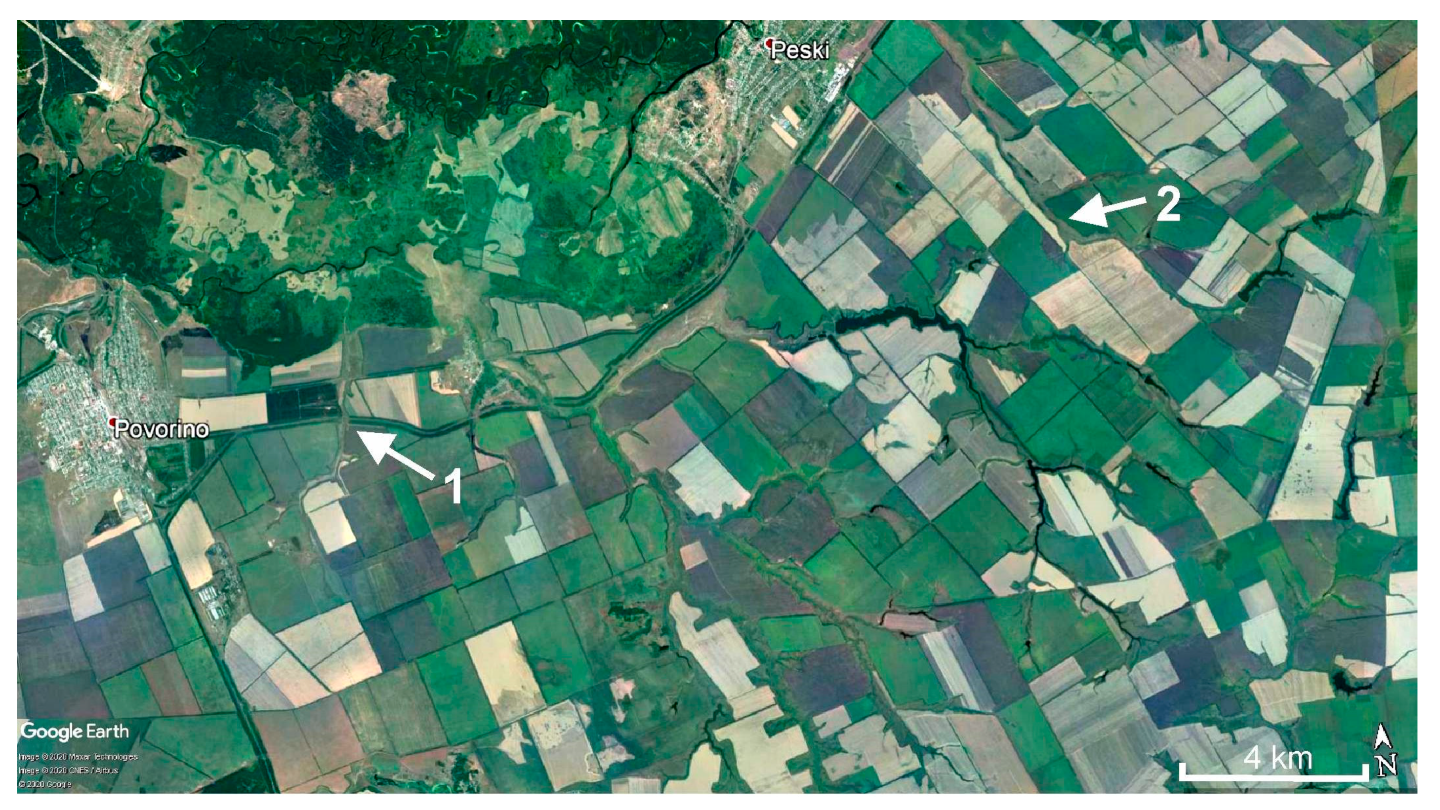 Quaternary 03 00031 g007