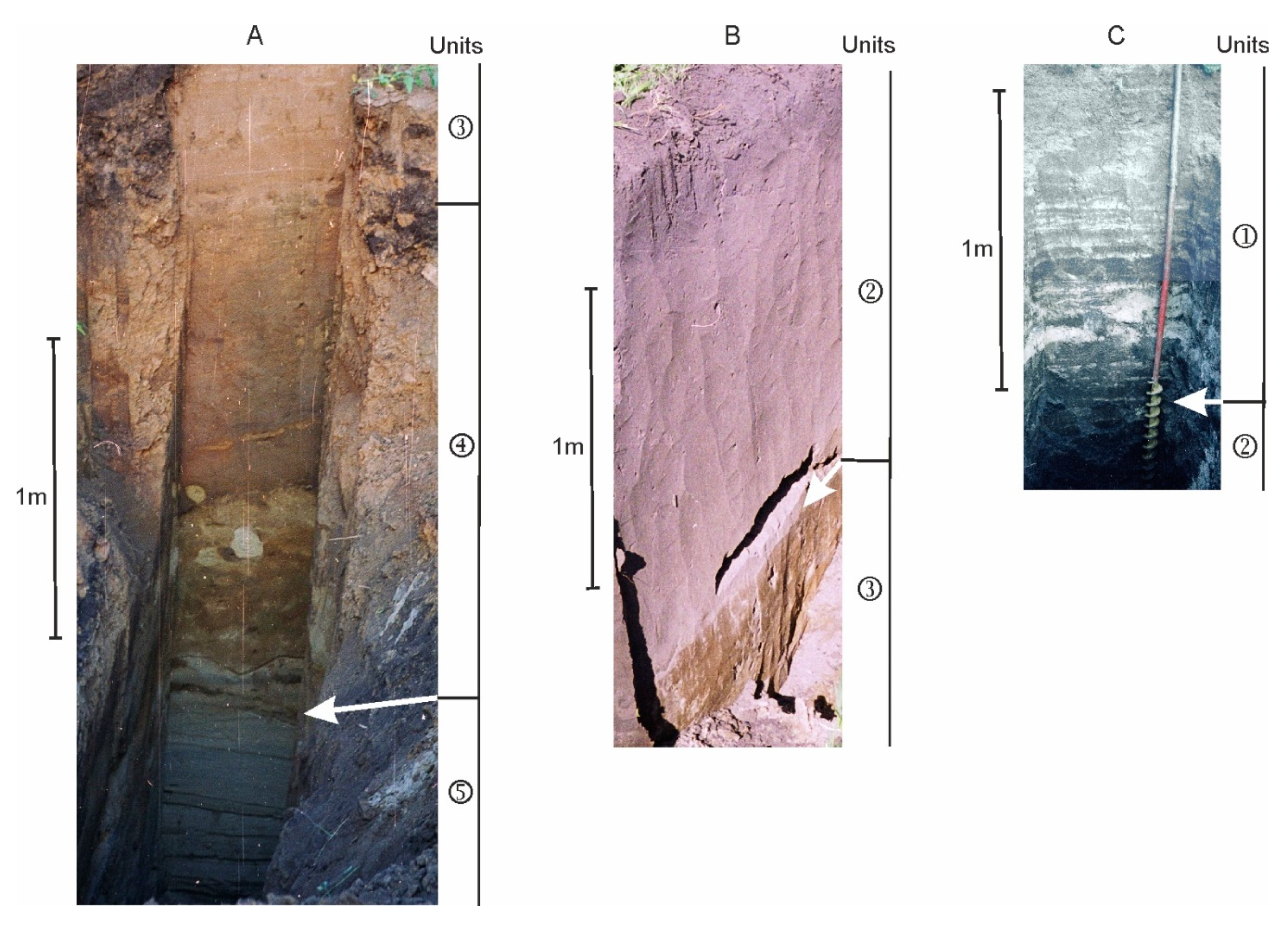 Quaternary 03 00031 g010