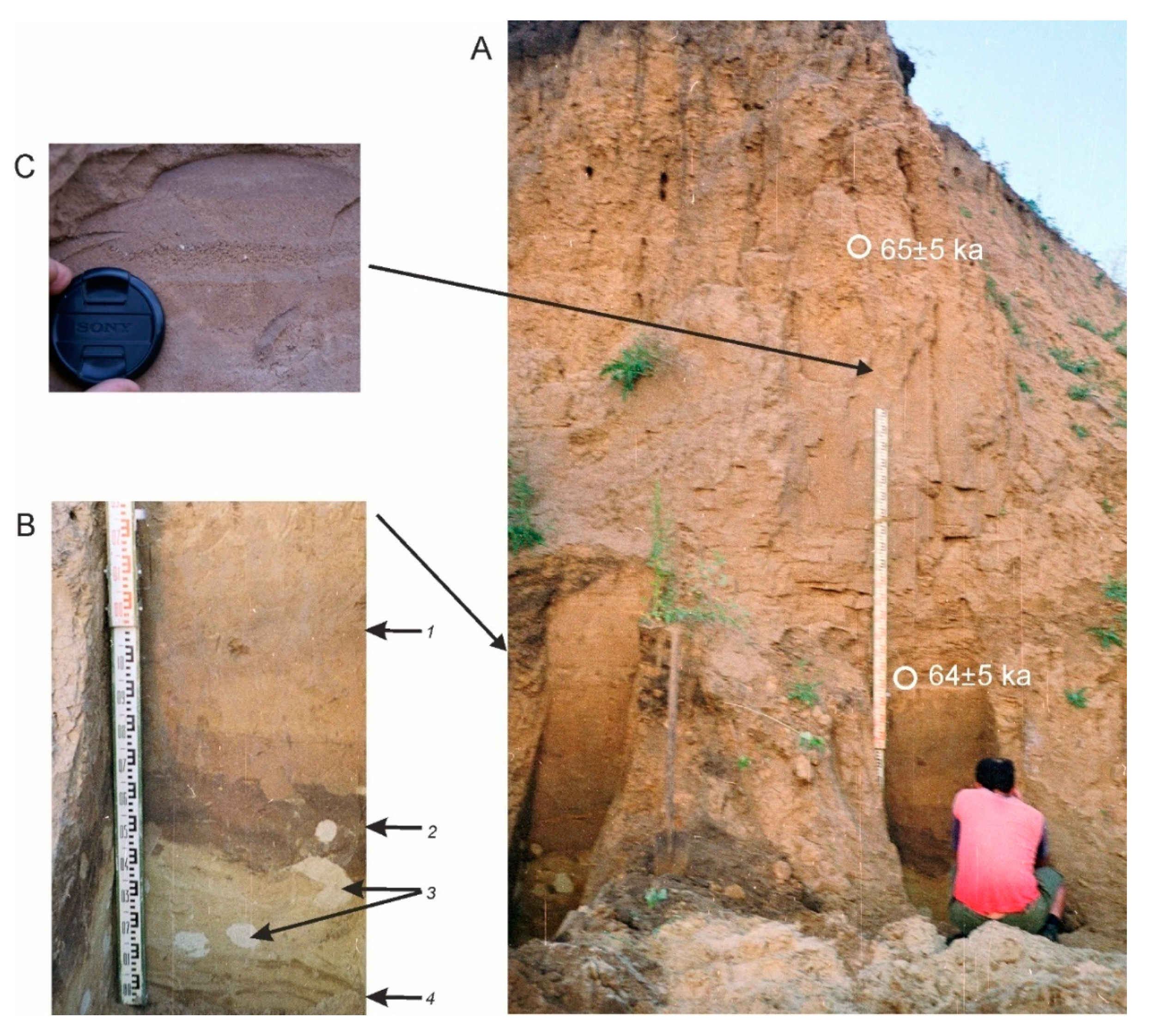 Quaternary 03 00031 g011