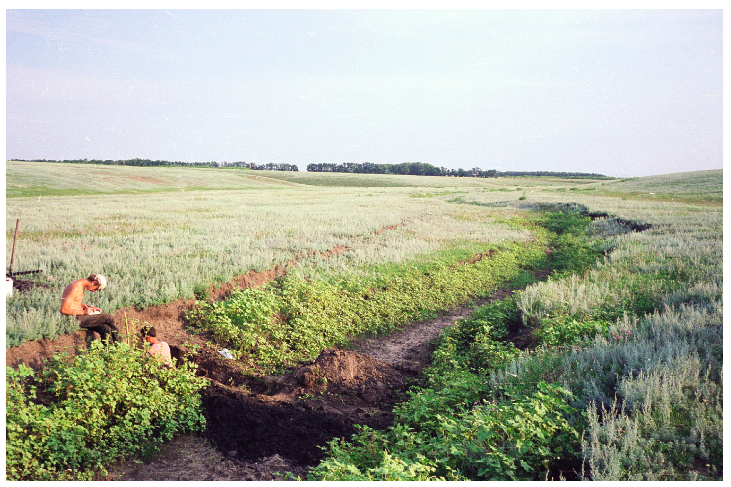 Quaternary 03 00031 g012