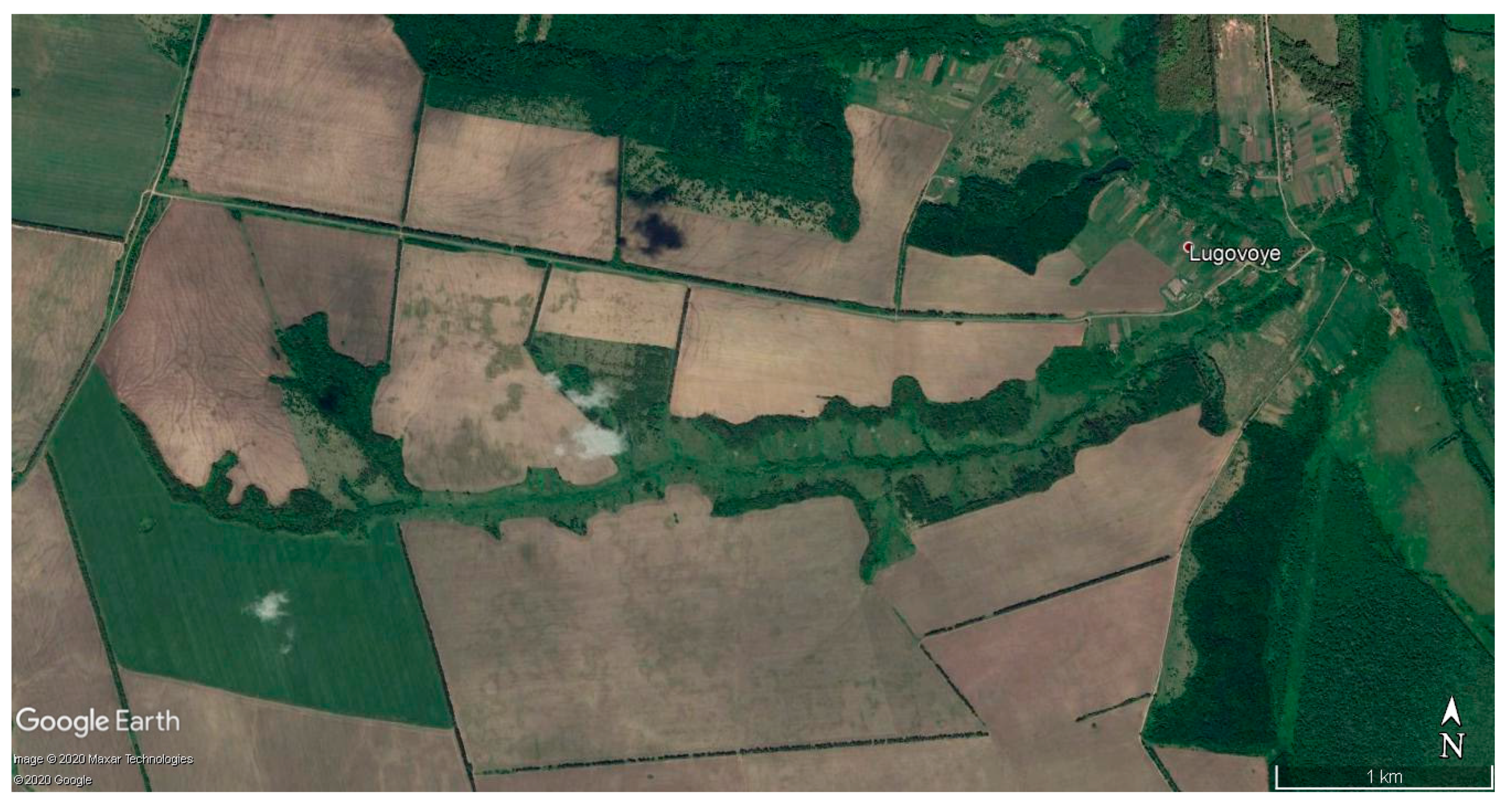 Quaternary 03 00031 g016