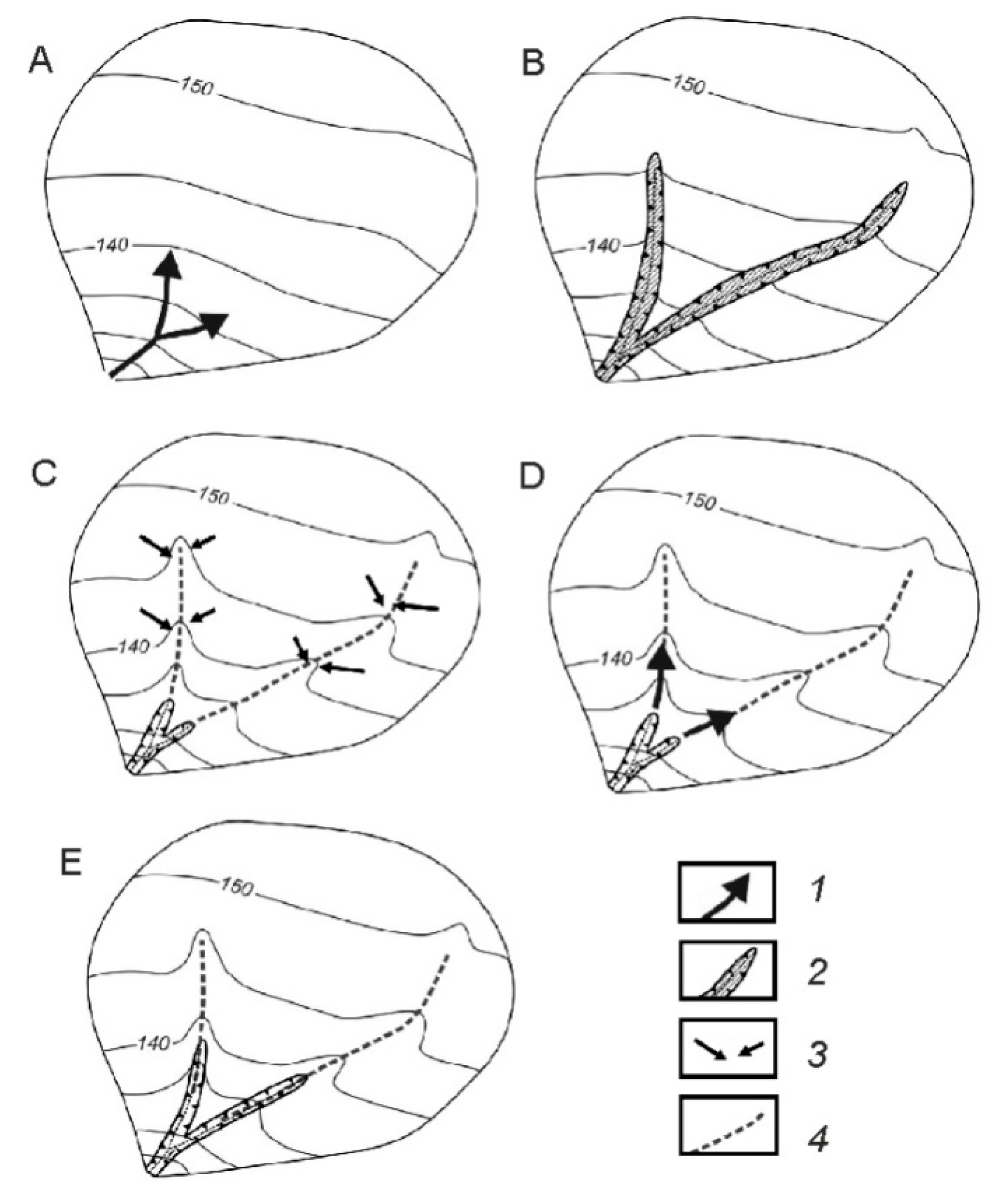 Quaternary 03 00031 g019