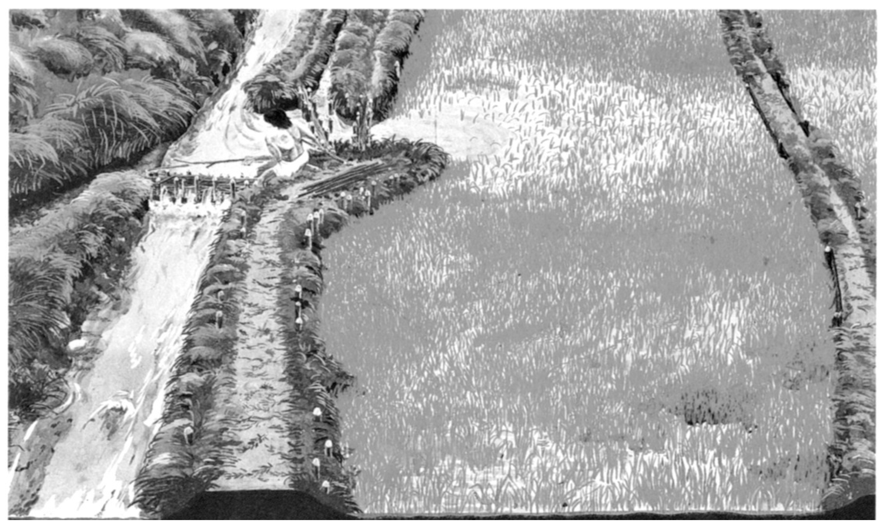 Quaternary 04 00003 g006