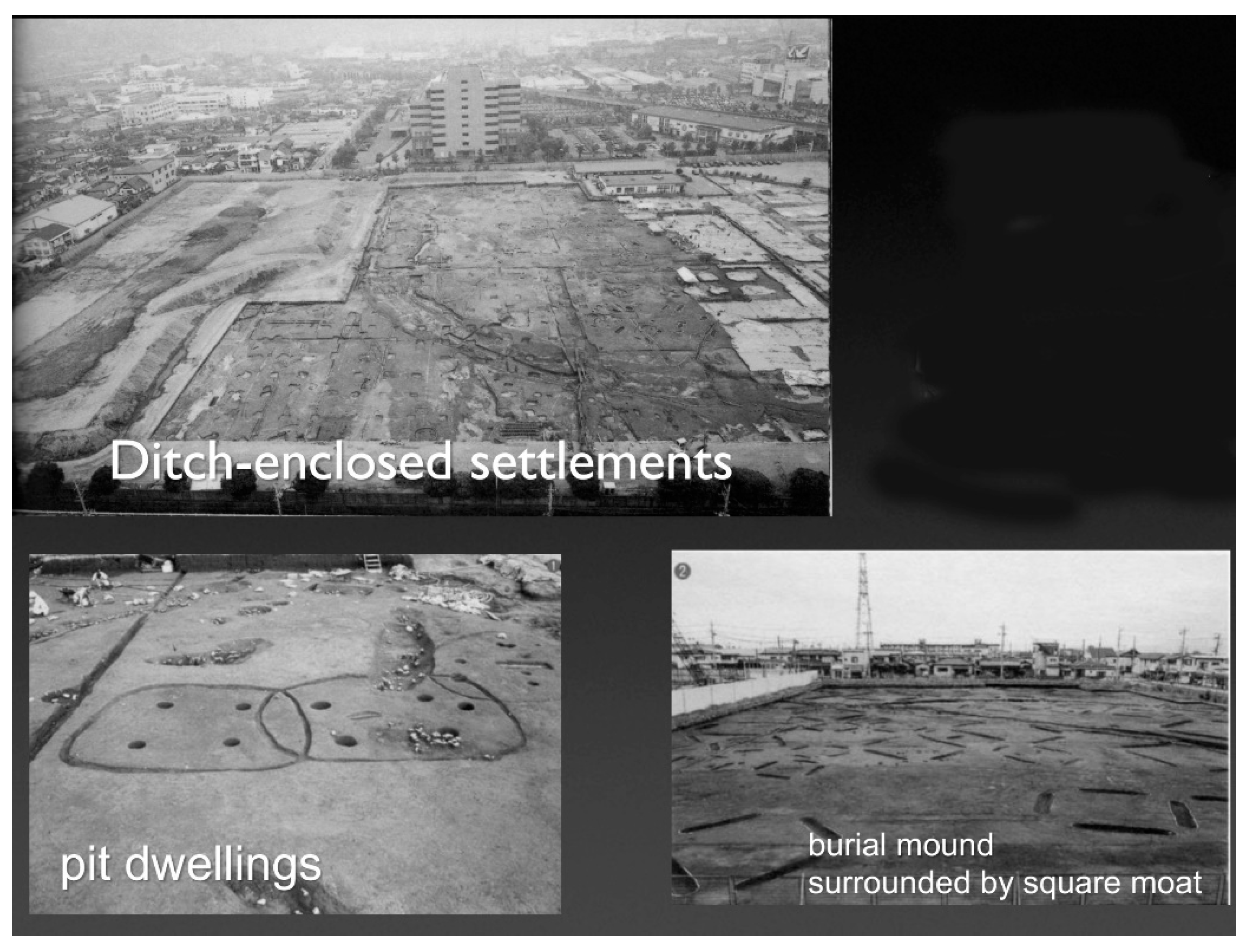 Quaternary 04 00003 g012