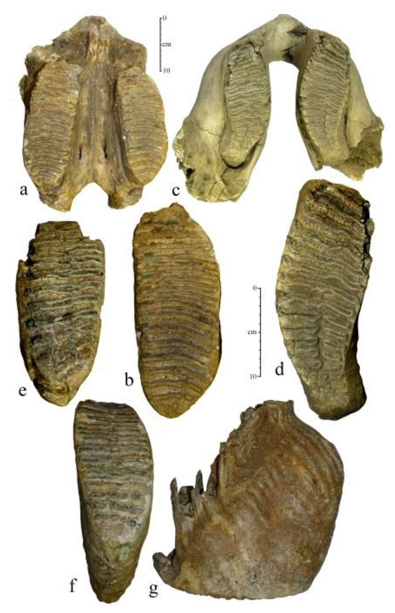 Quaternary 04 00005 g002