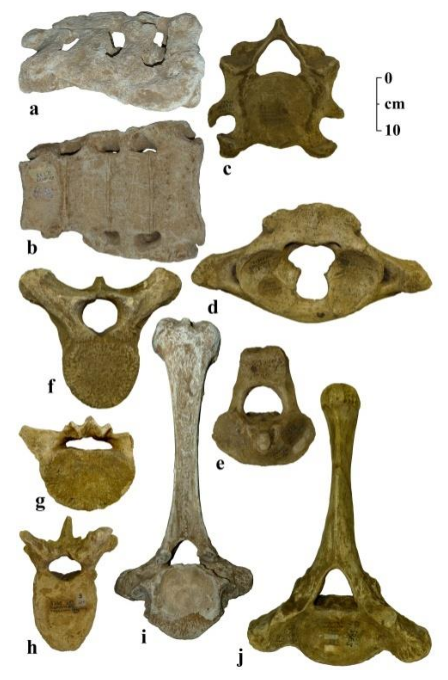 Quaternary 04 00005 g003