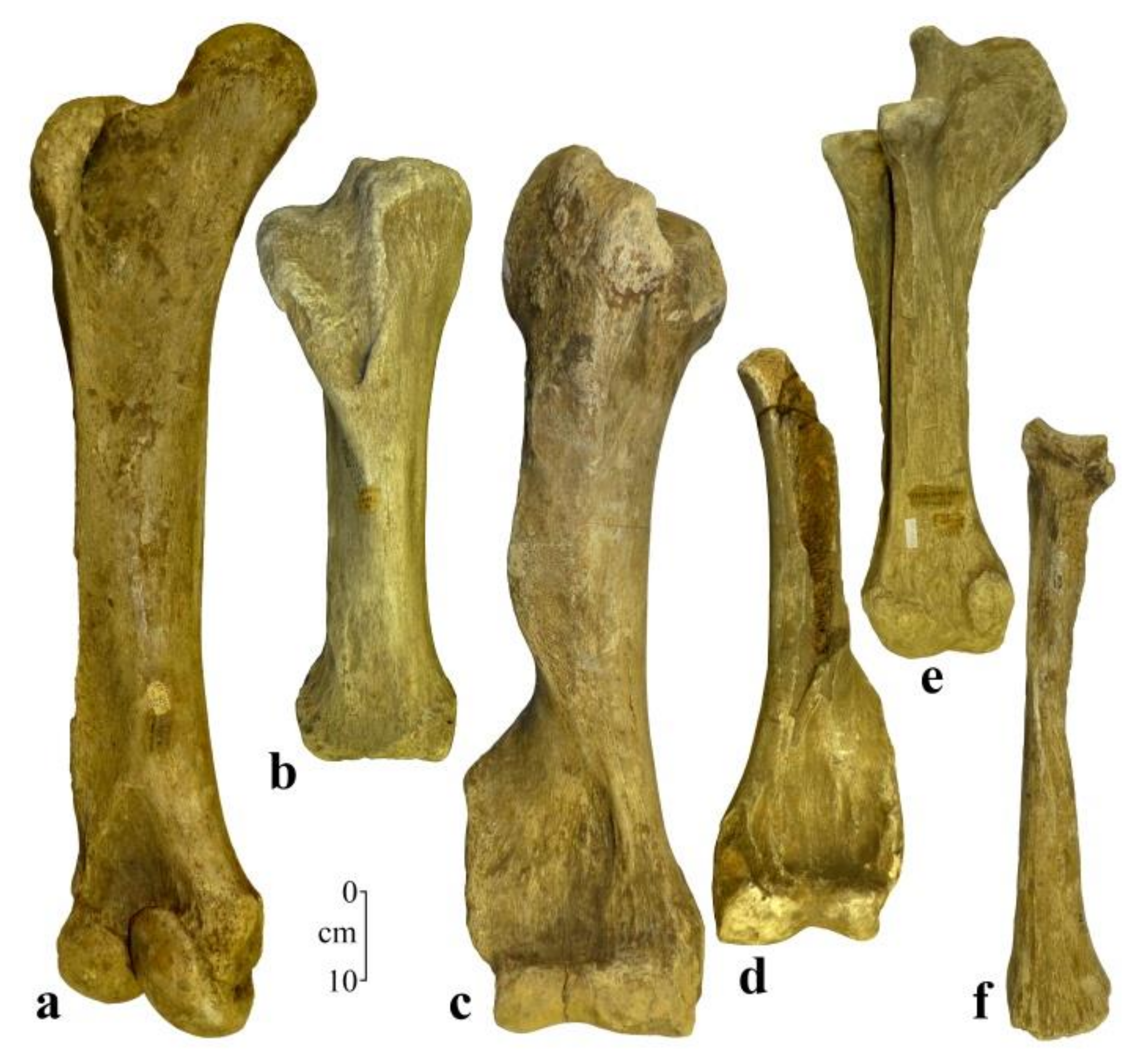 Quaternary 04 00005 g004