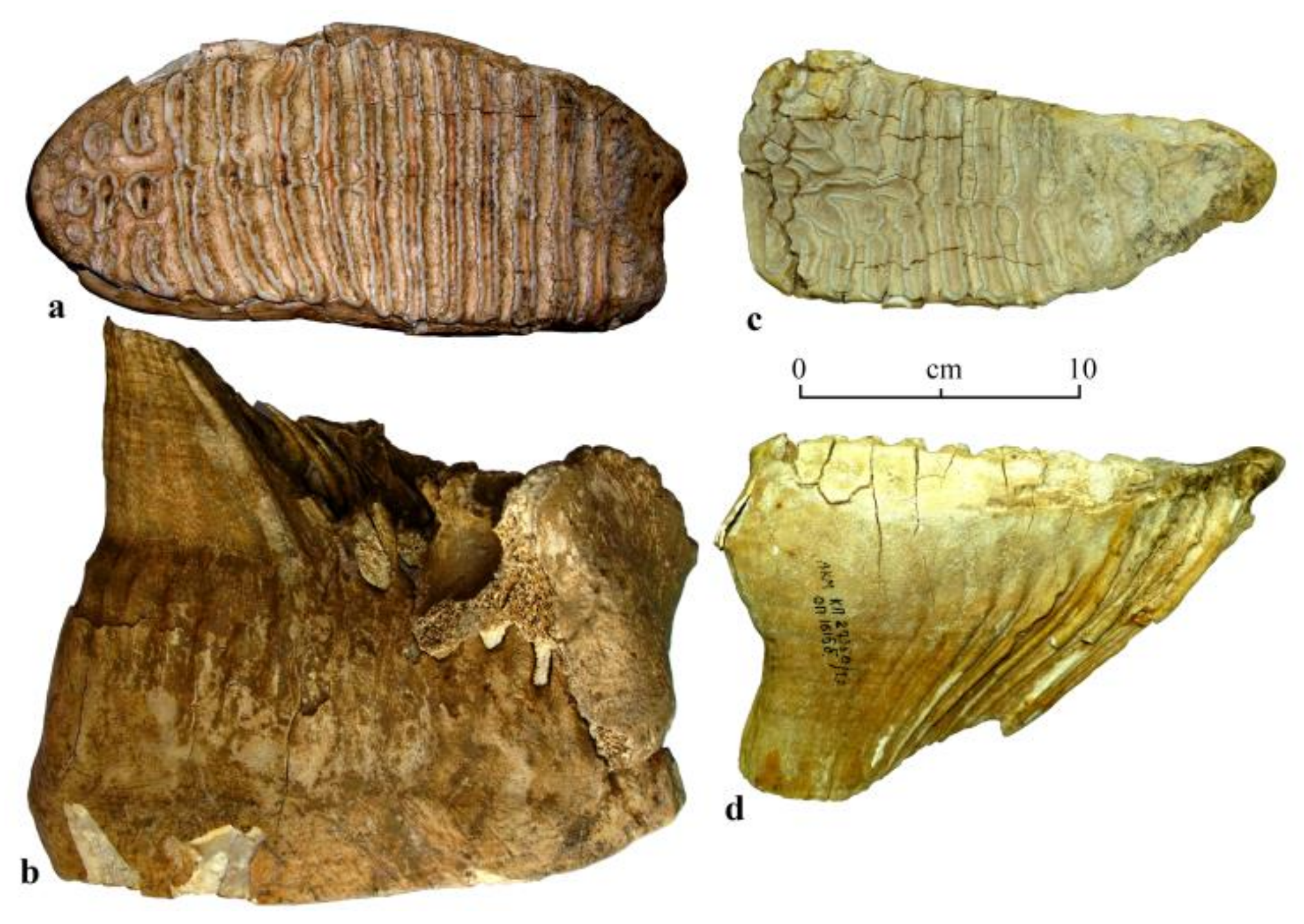 Quaternary 04 00005 g006