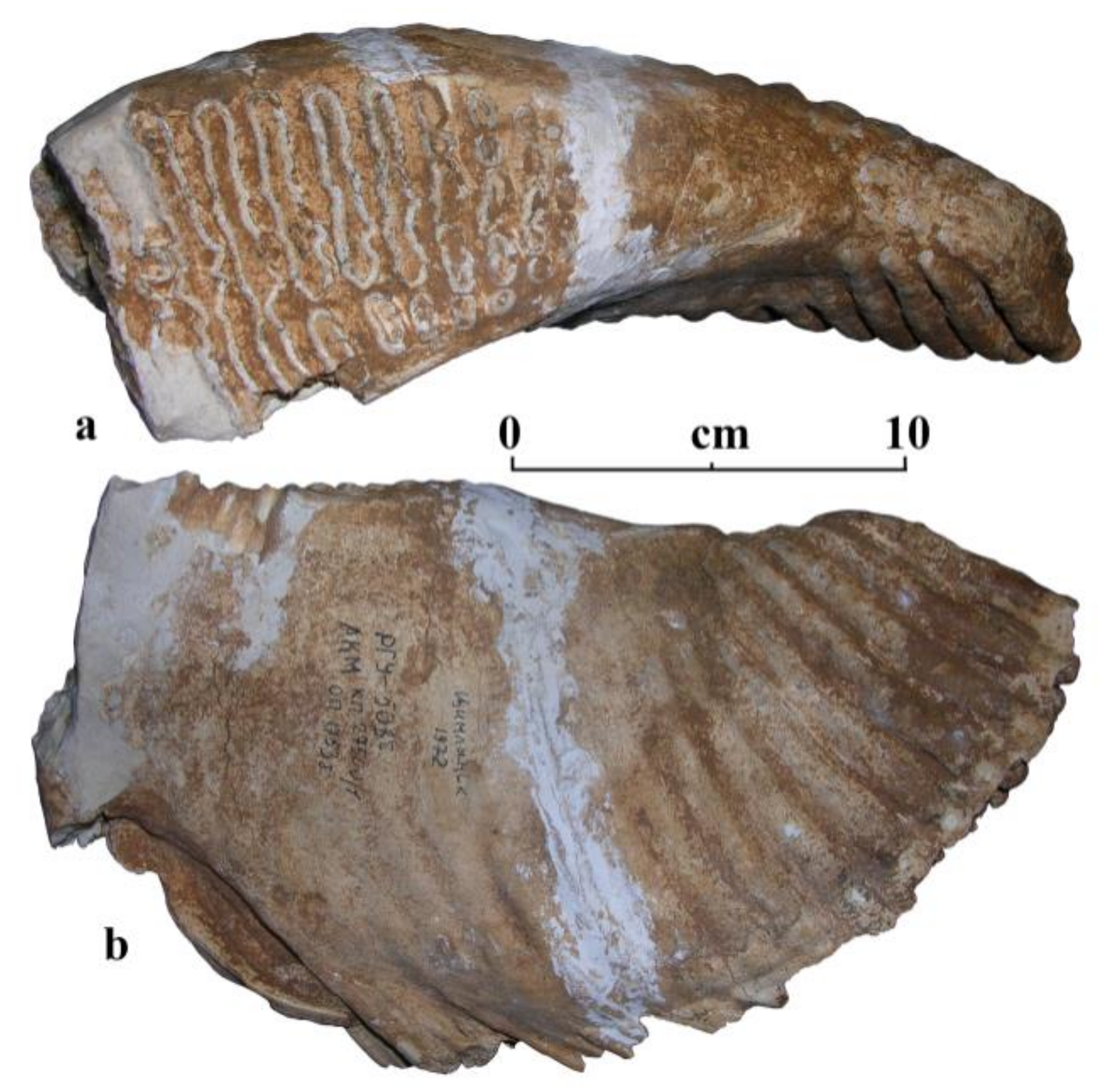 Quaternary 04 00005 g007