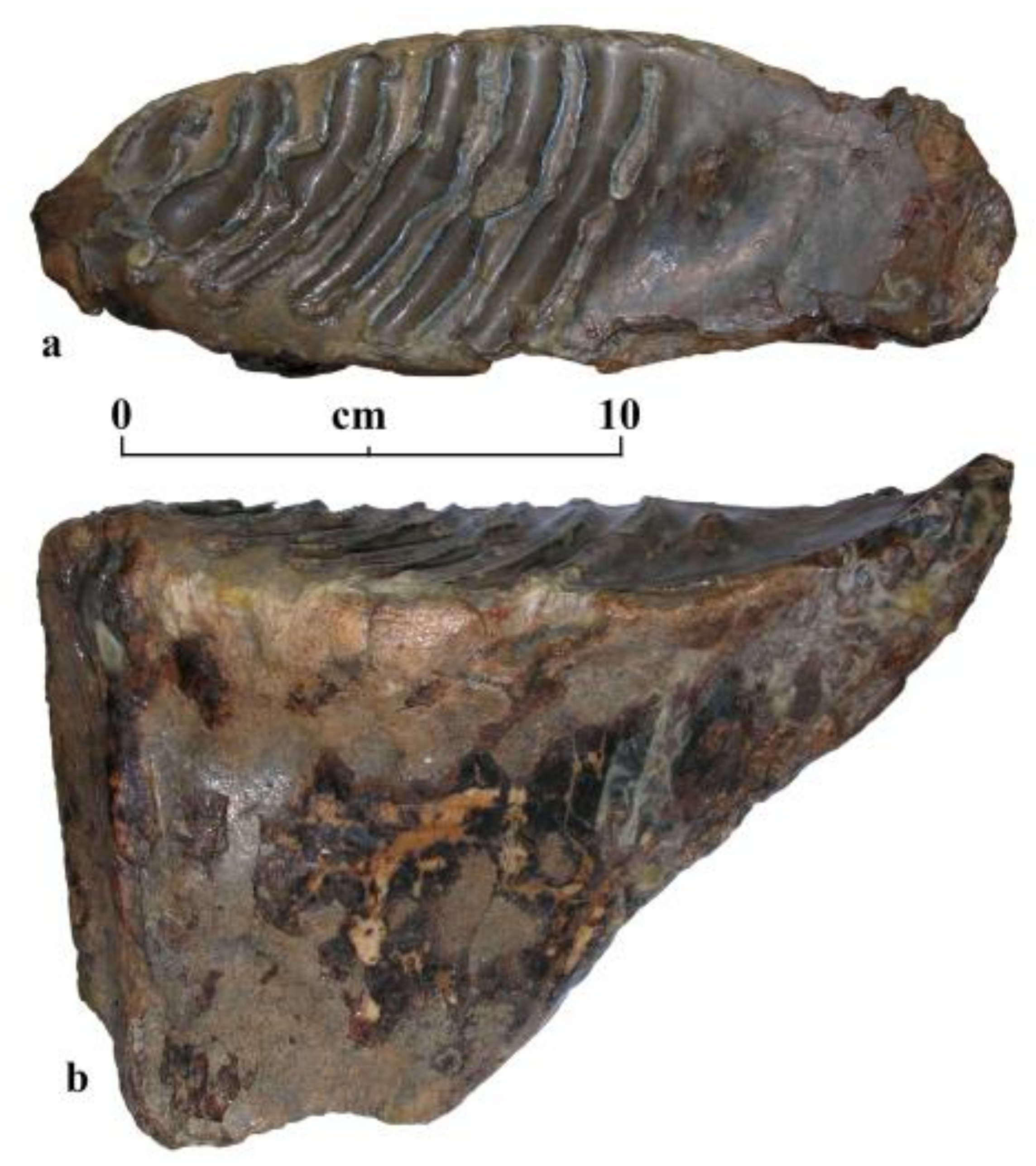 Quaternary 04 00005 g008