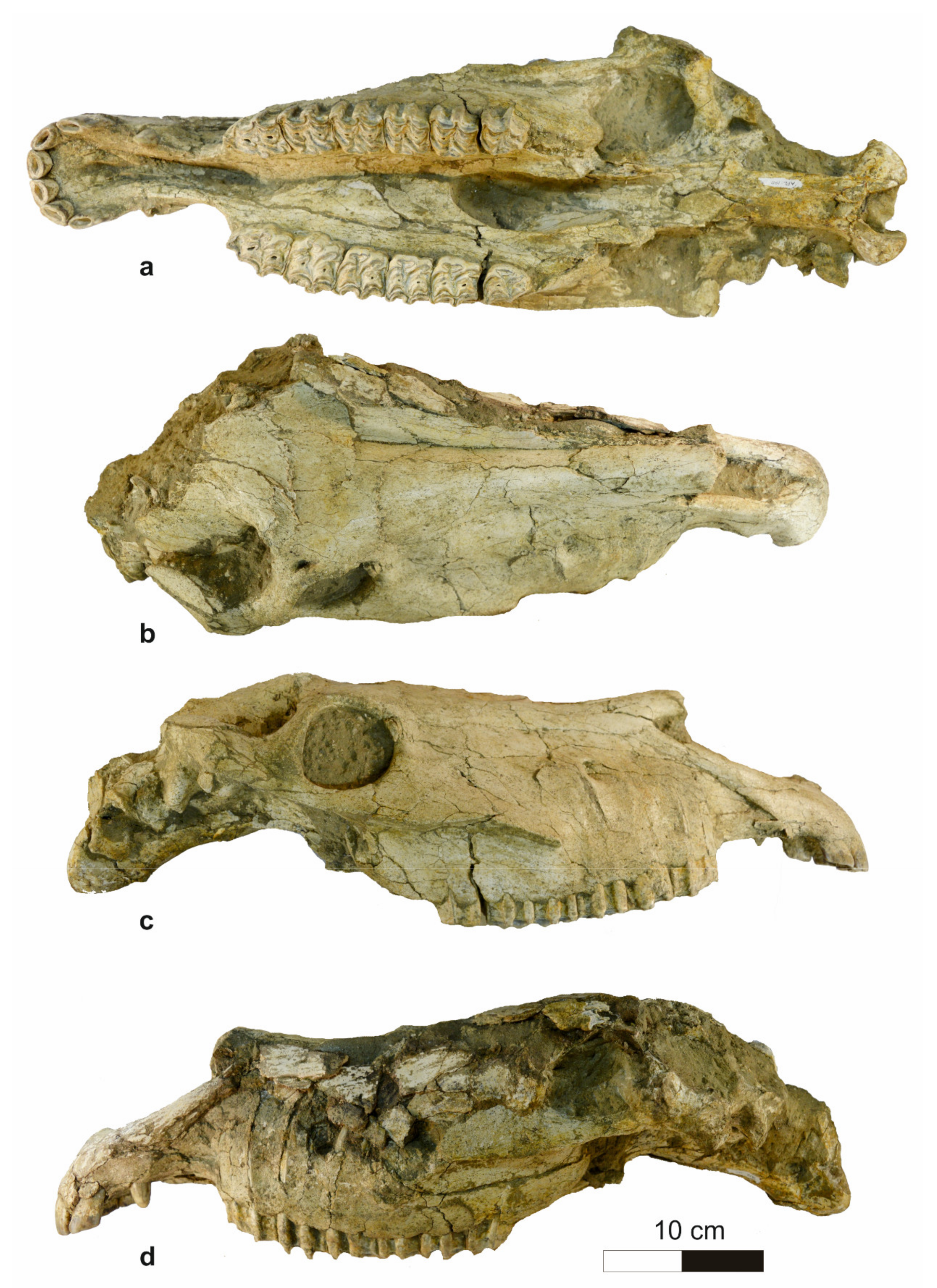 Quaternary 04 00012 g002