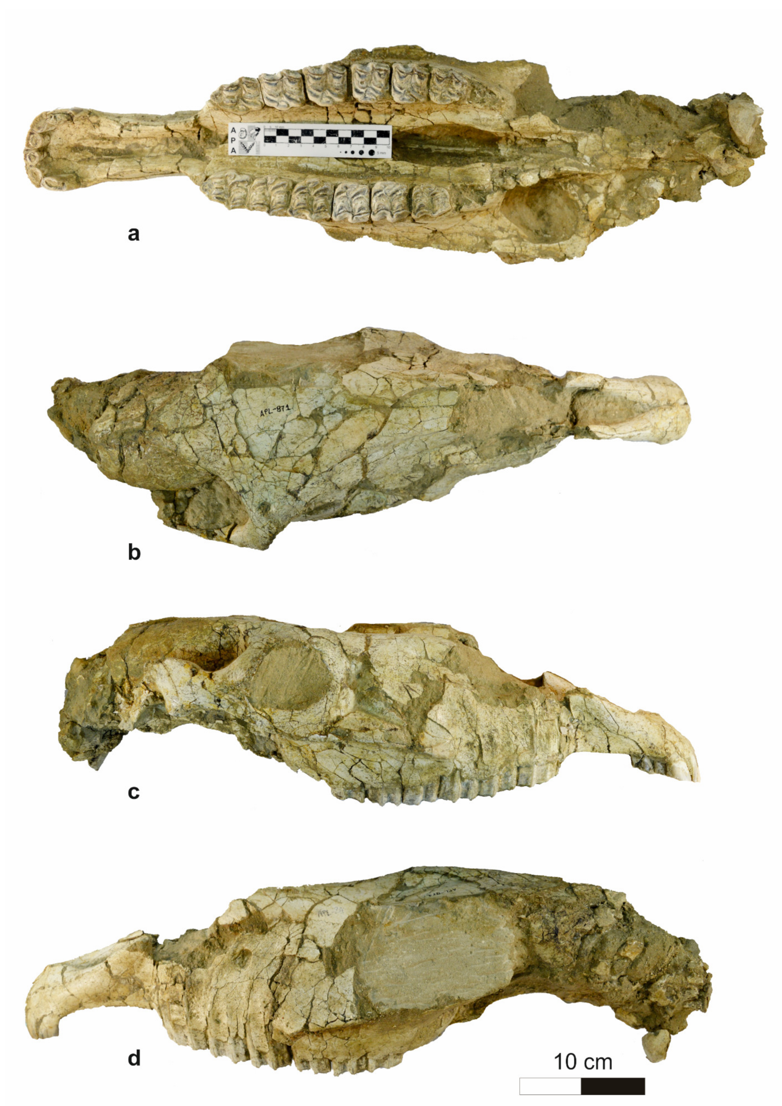 Quaternary 04 00012 g003