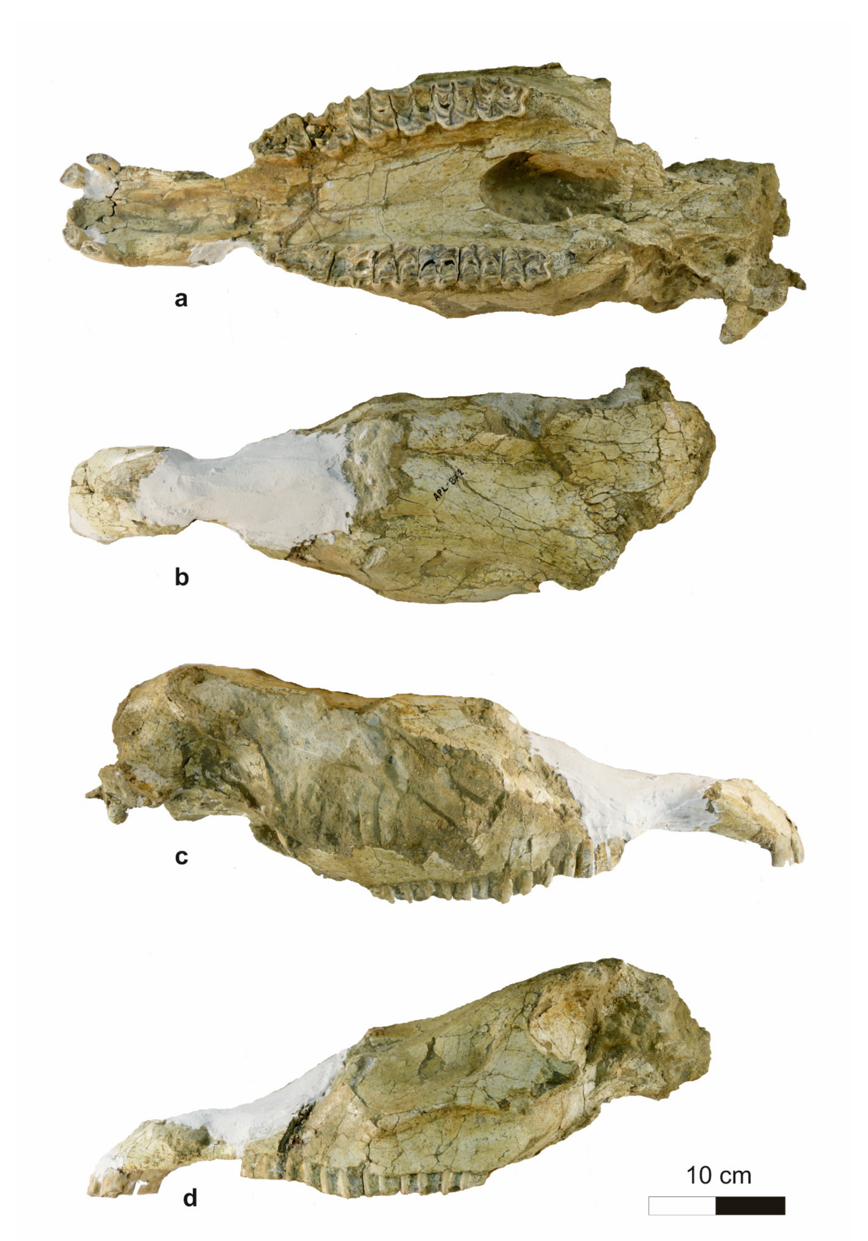 Quaternary 04 00012 g004