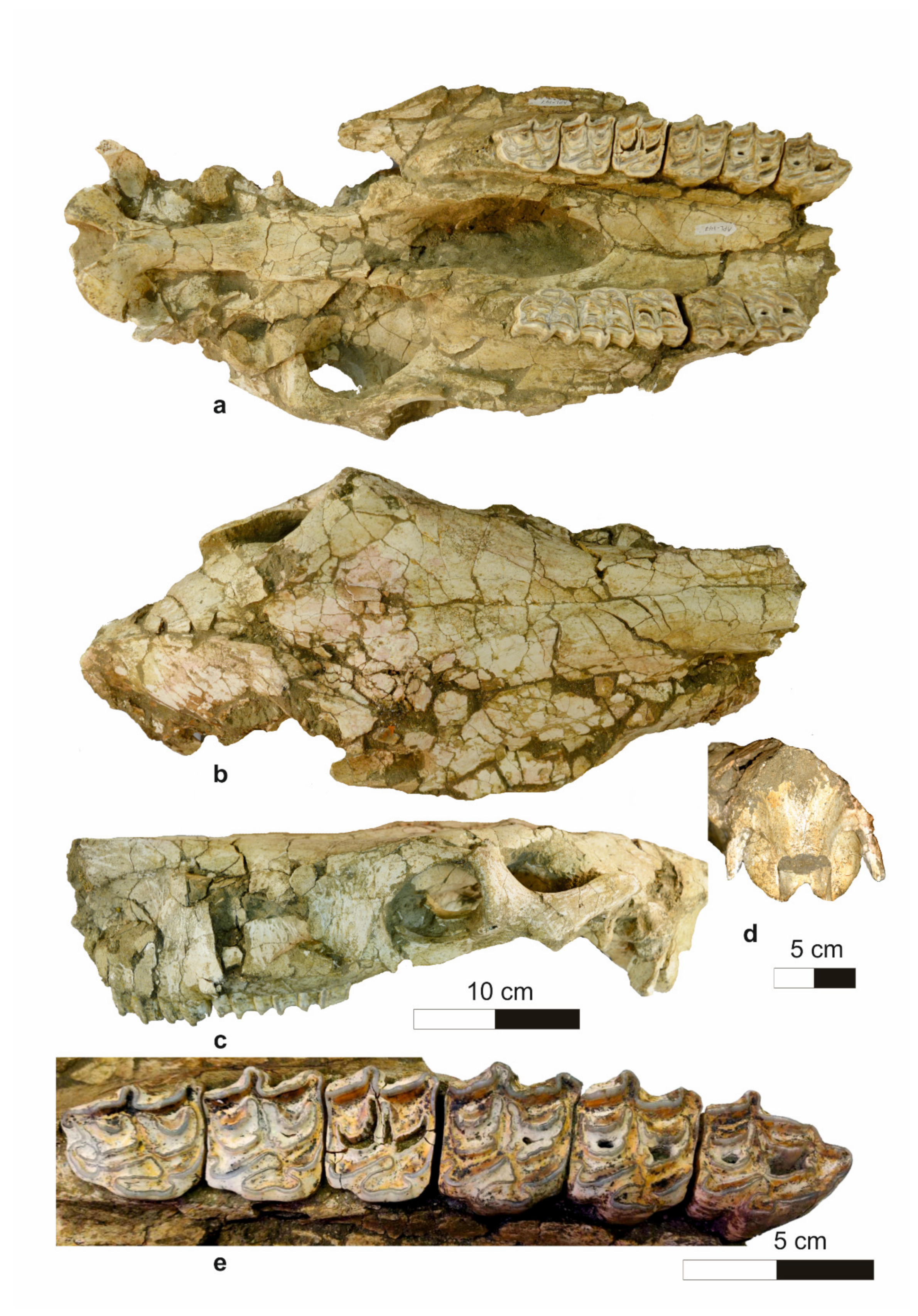 Quaternary 04 00012 g005
