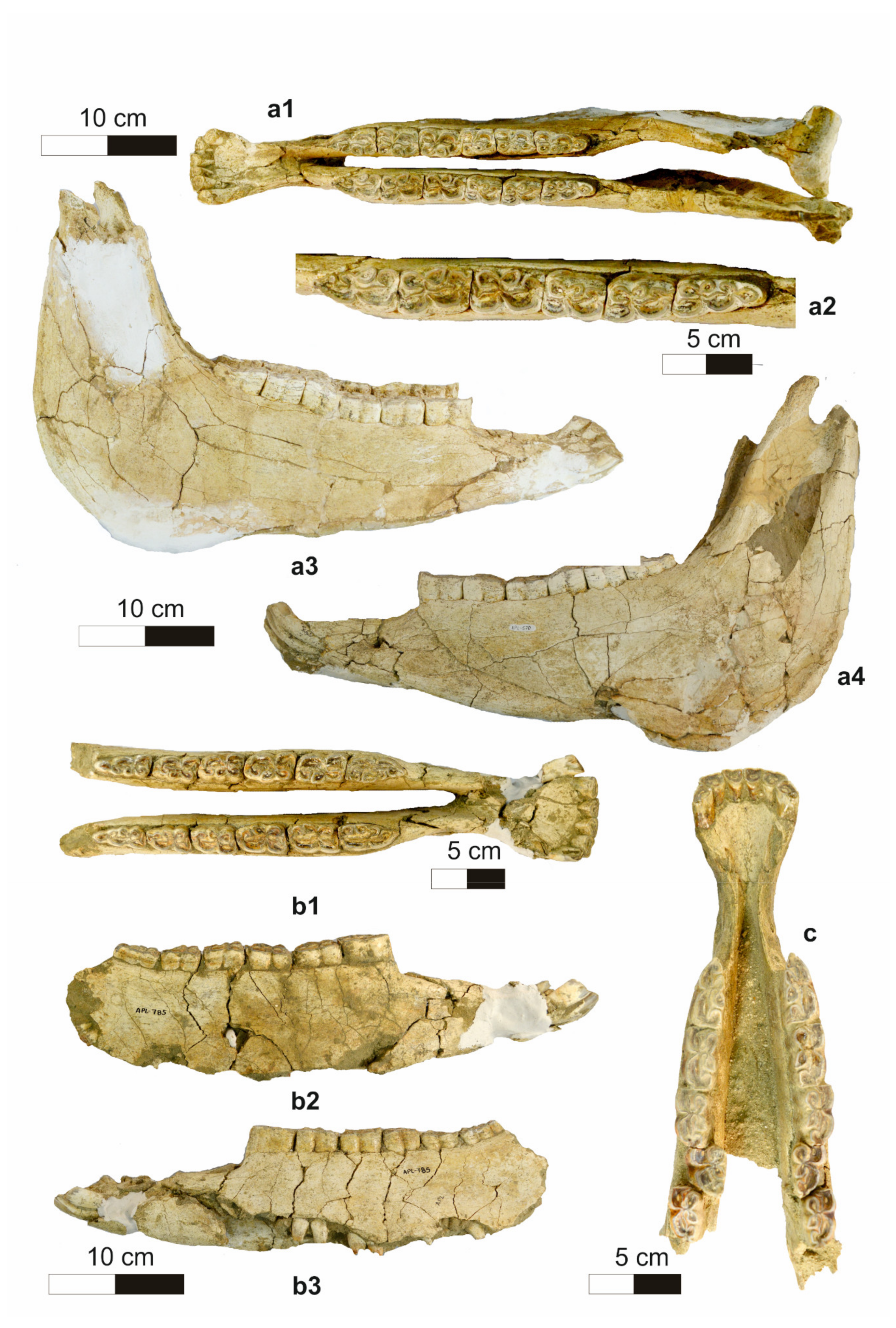 Quaternary 04 00012 g006