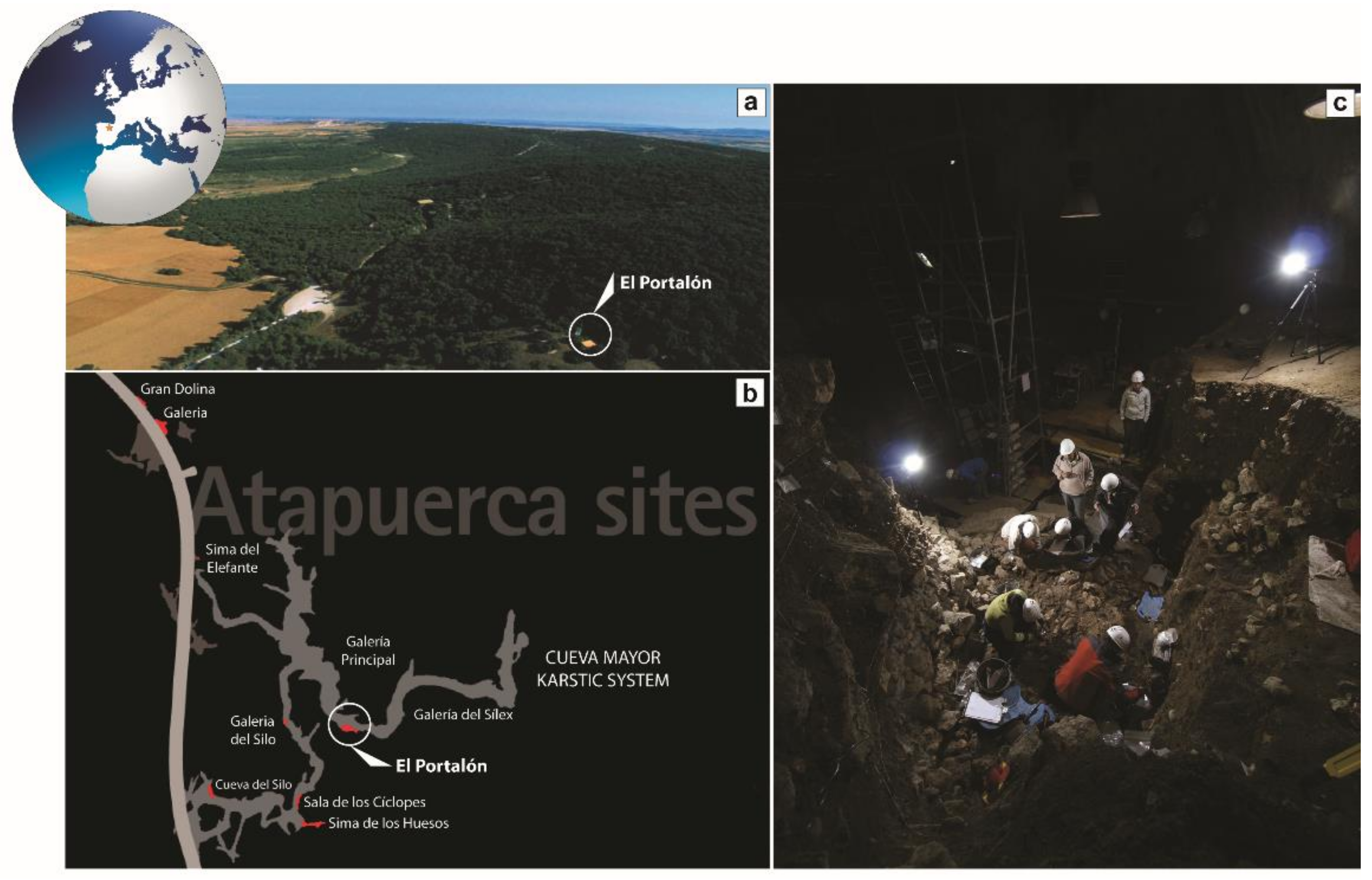 Quaternary 04 00016 g001