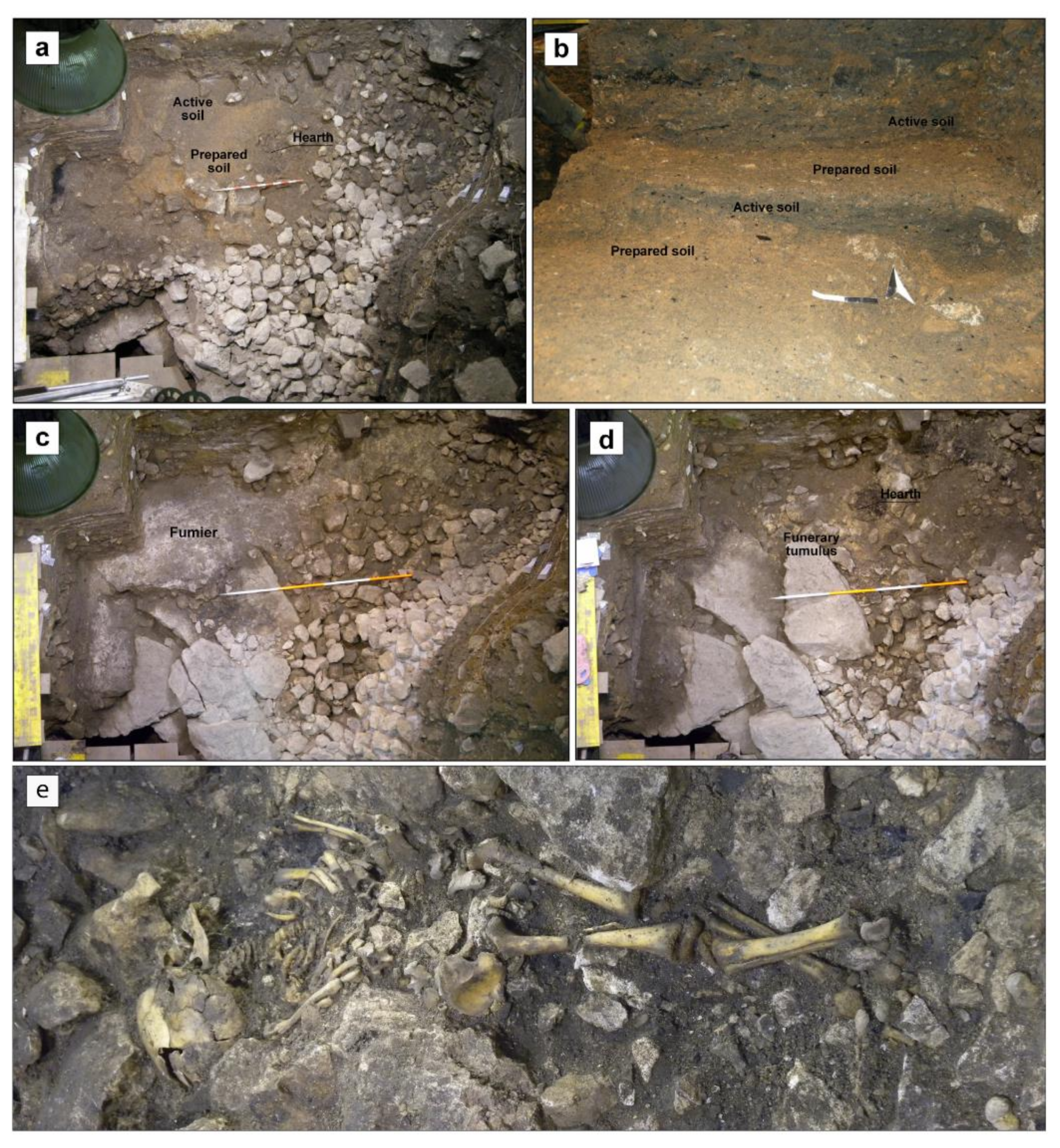 Quaternary 04 00016 g003