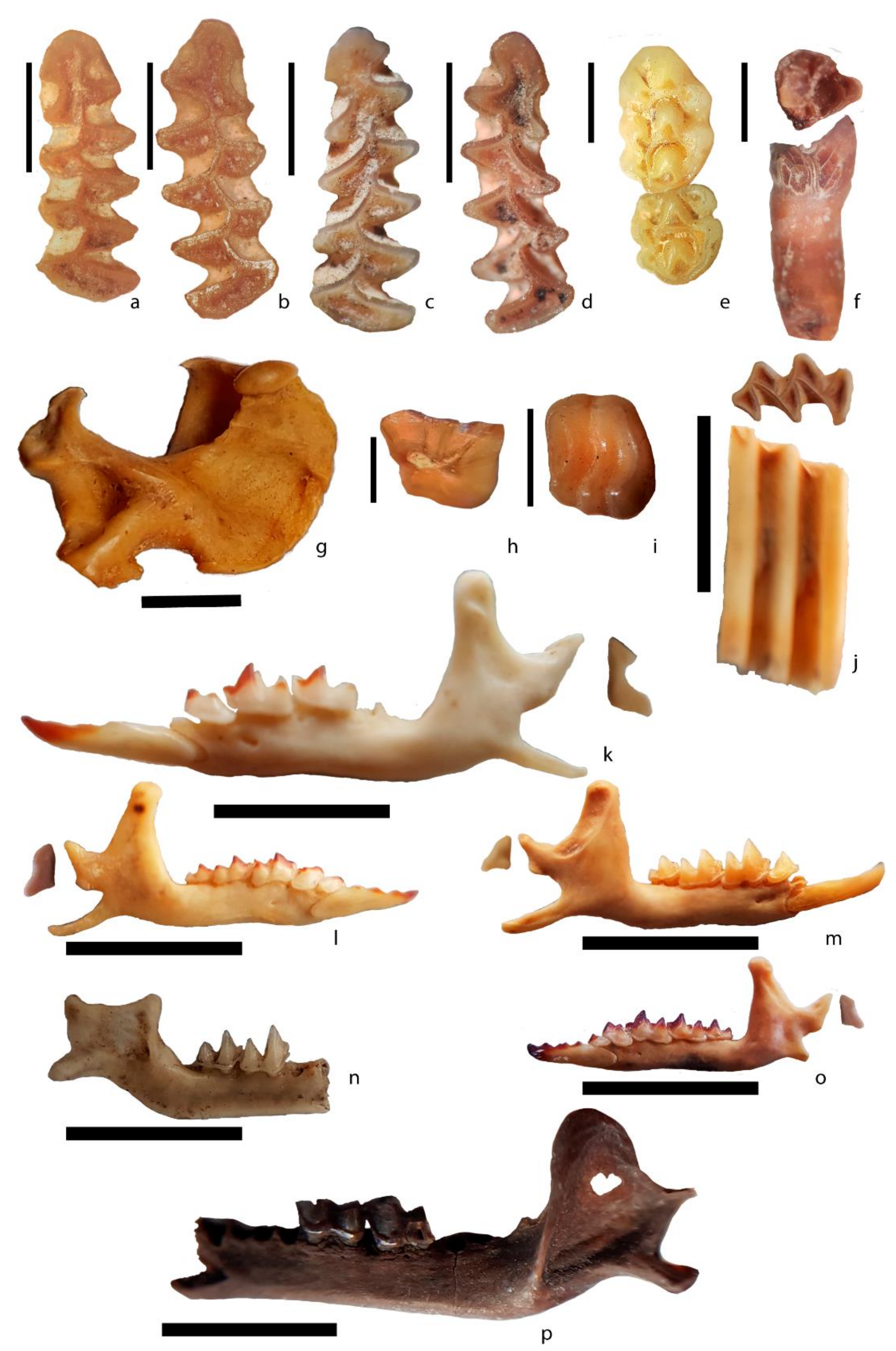 Quaternary 04 00016 g004