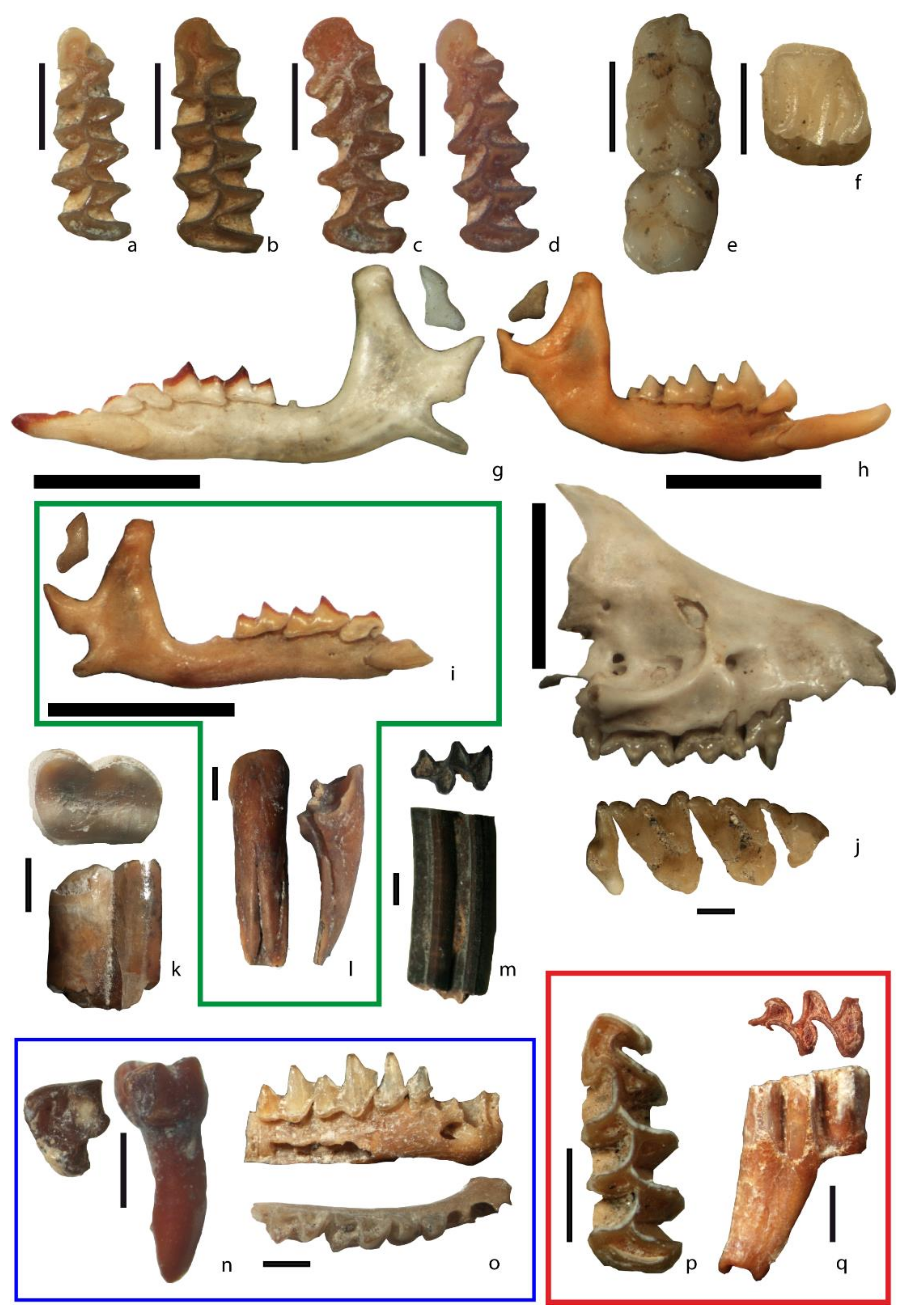Quaternary 04 00016 g005