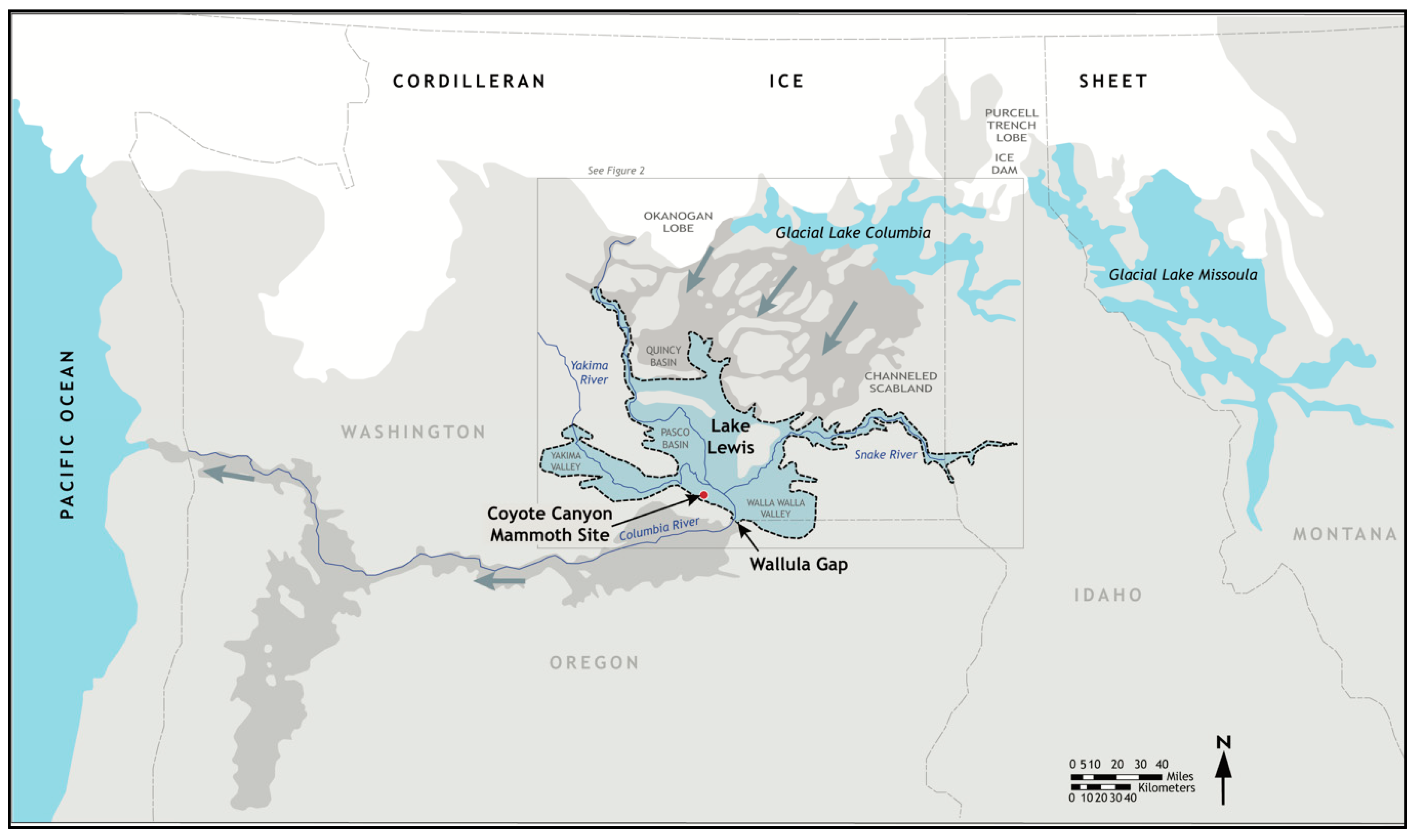 Quaternary 04 00020 g001