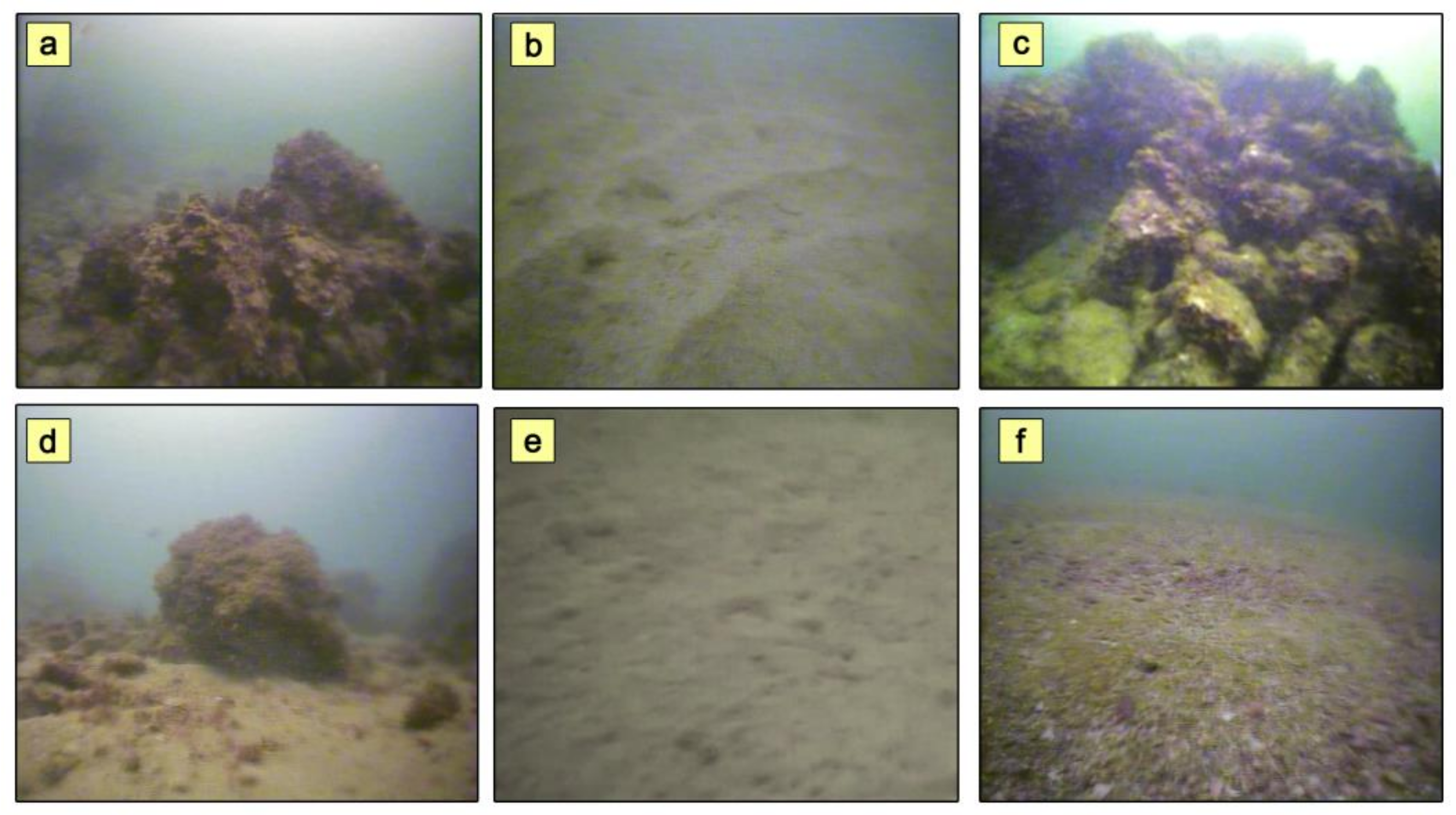 Quaternary 04 00022 g006