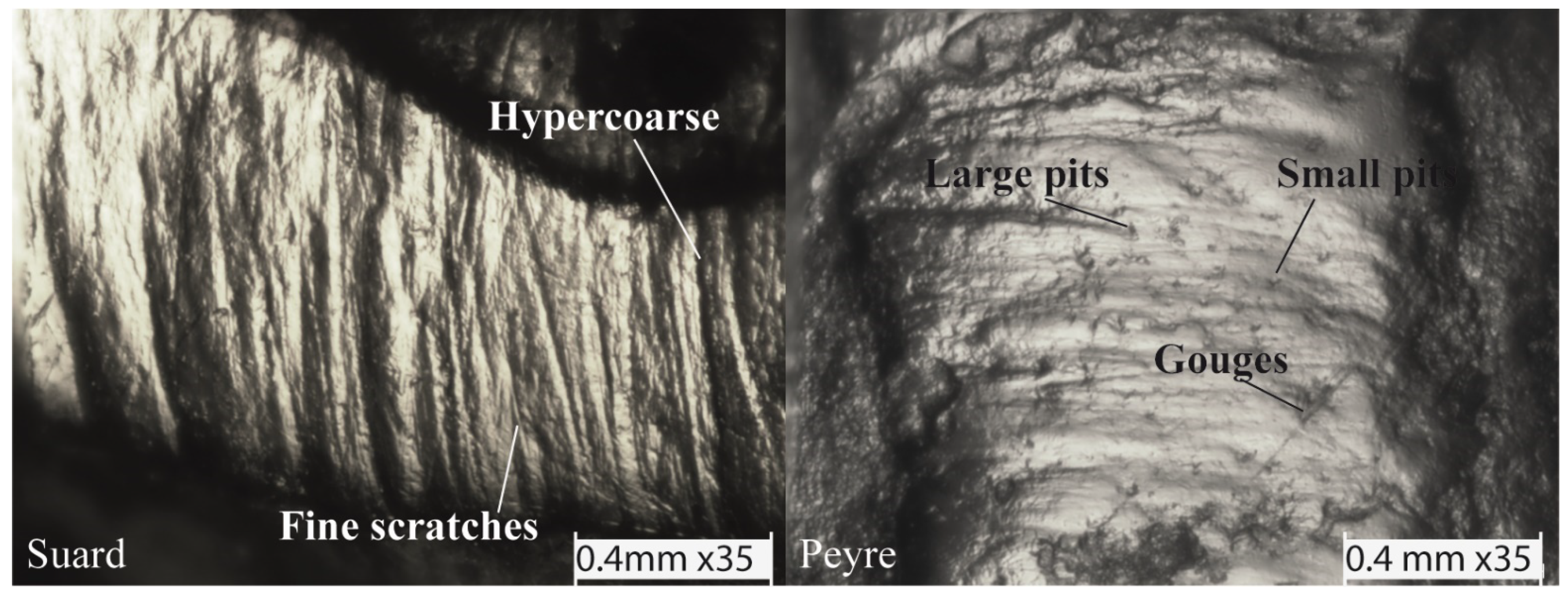 Quaternary 04 00023 g002