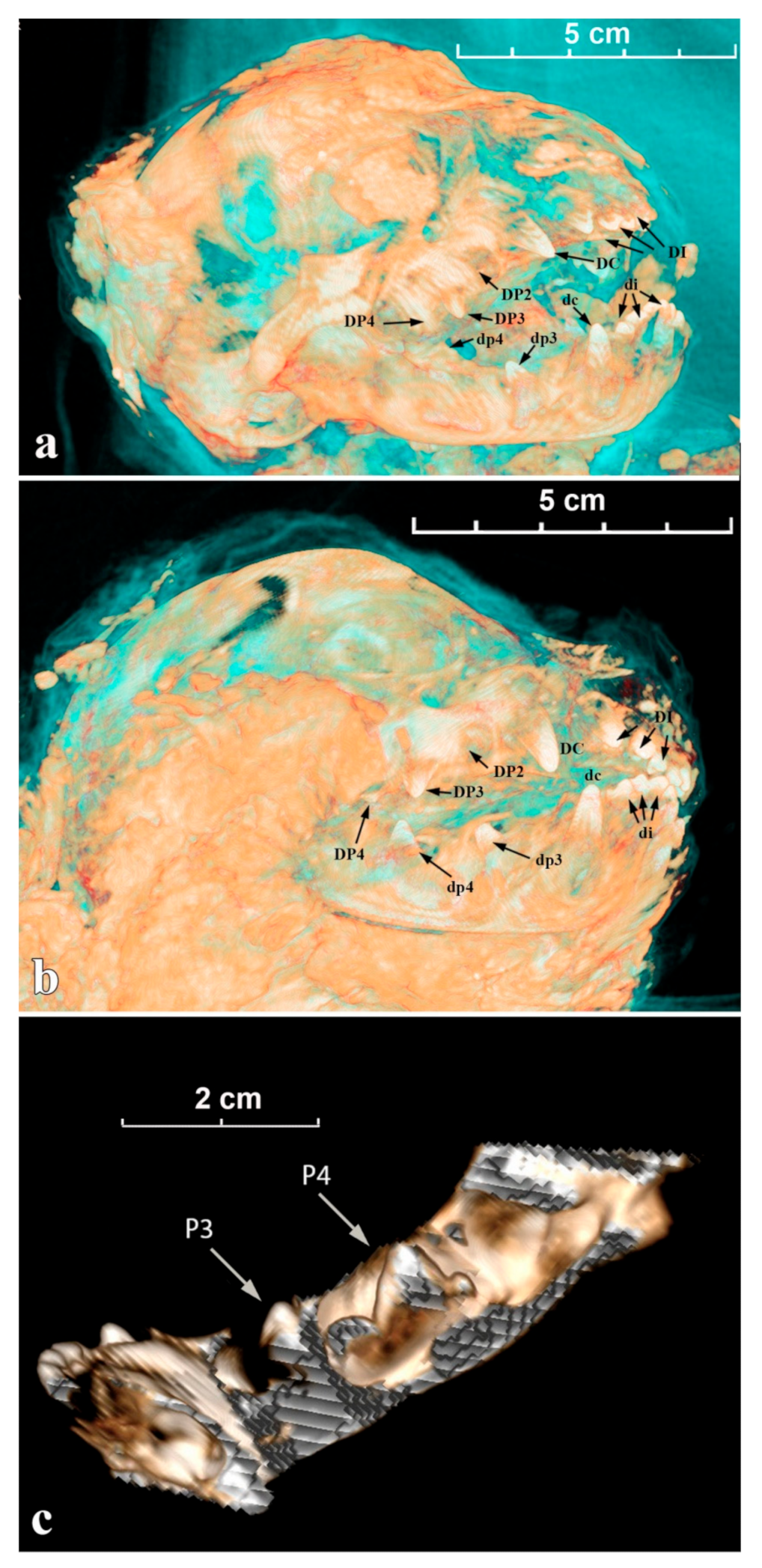 Quaternary 04 00024 g005