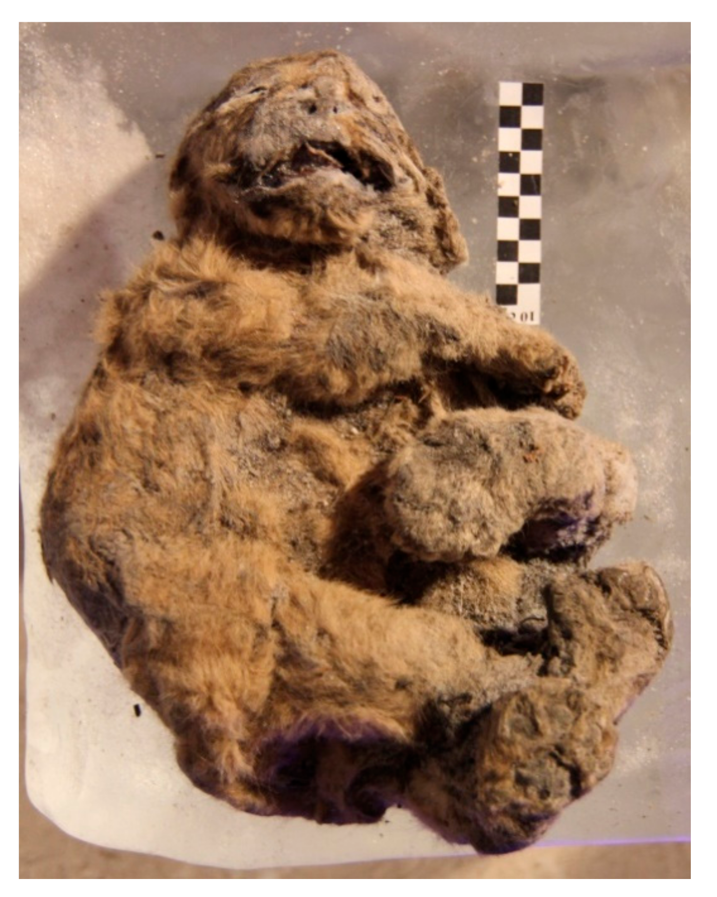 Quaternary 04 00024 g007