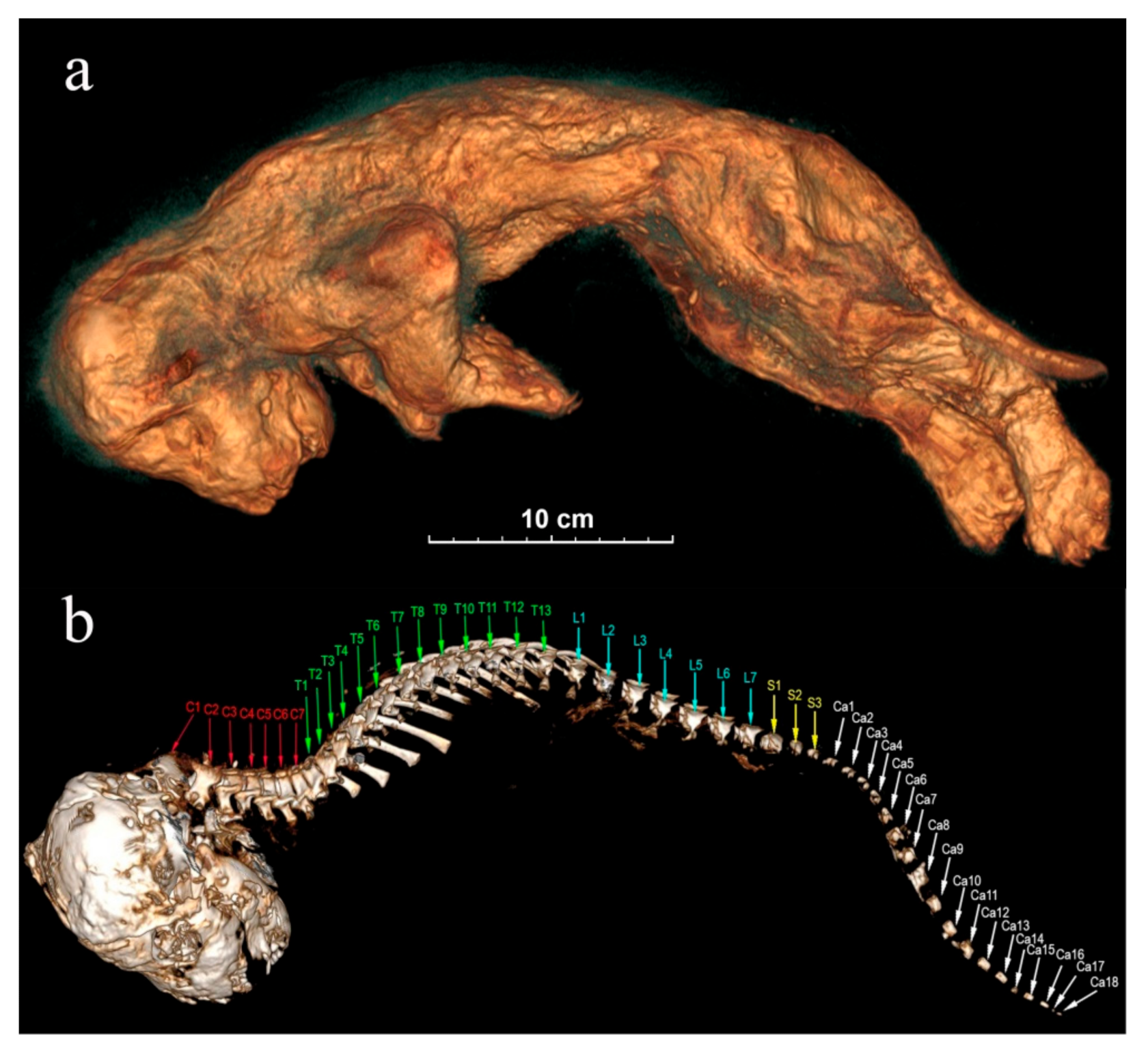 Quaternary 04 00024 g008