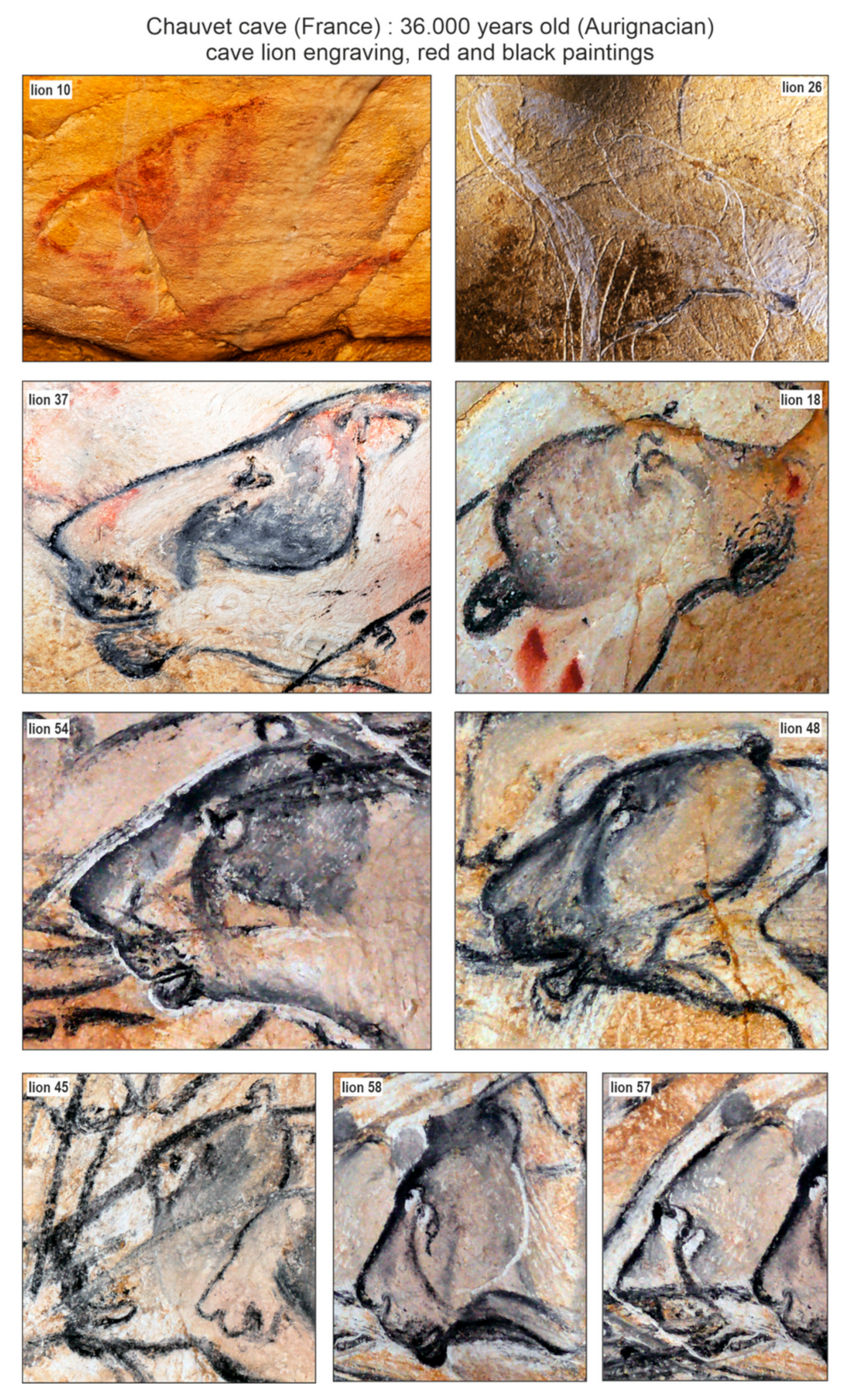 Quaternary 04 00024 g009