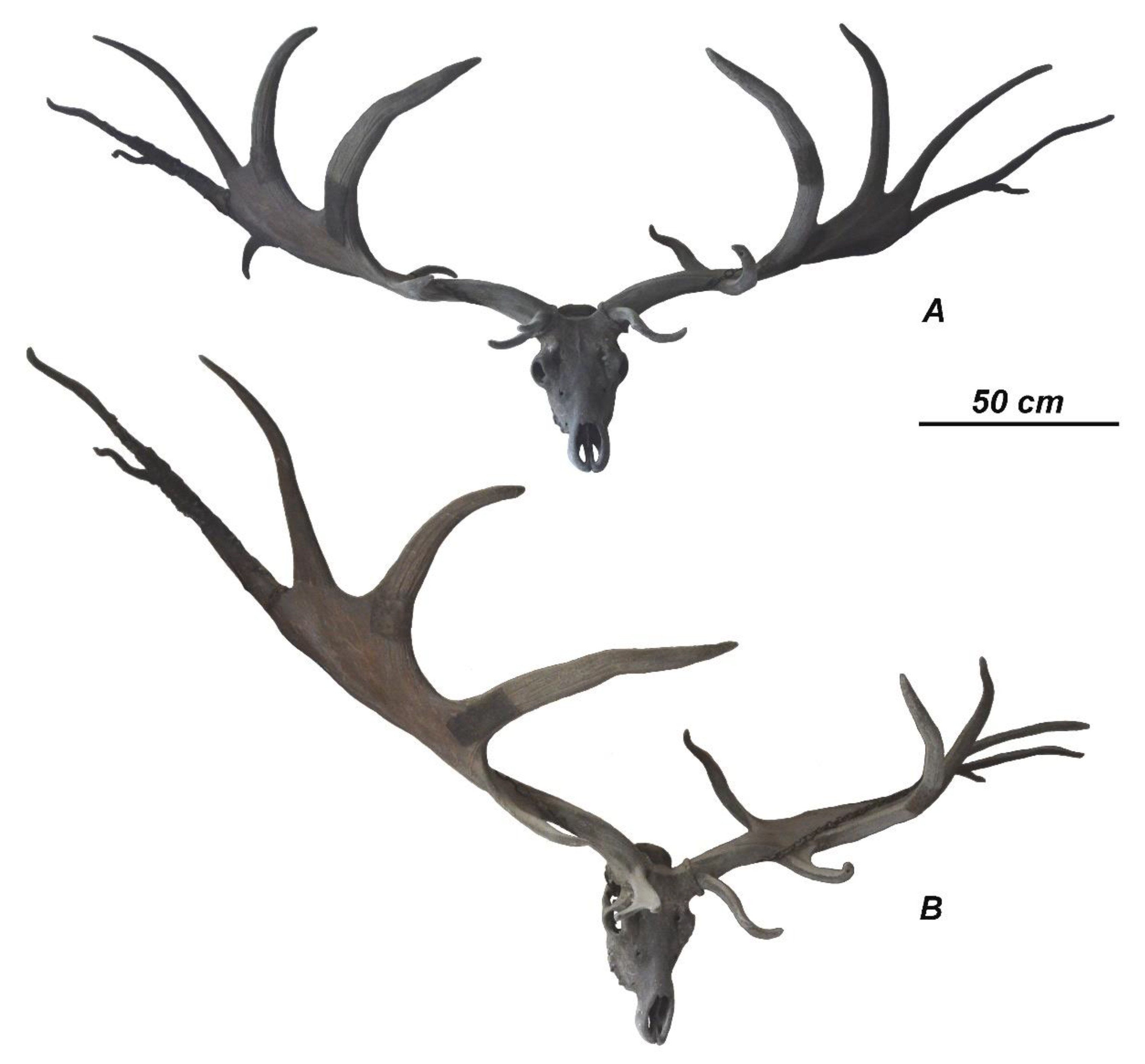 Quaternary 04 00036 g002