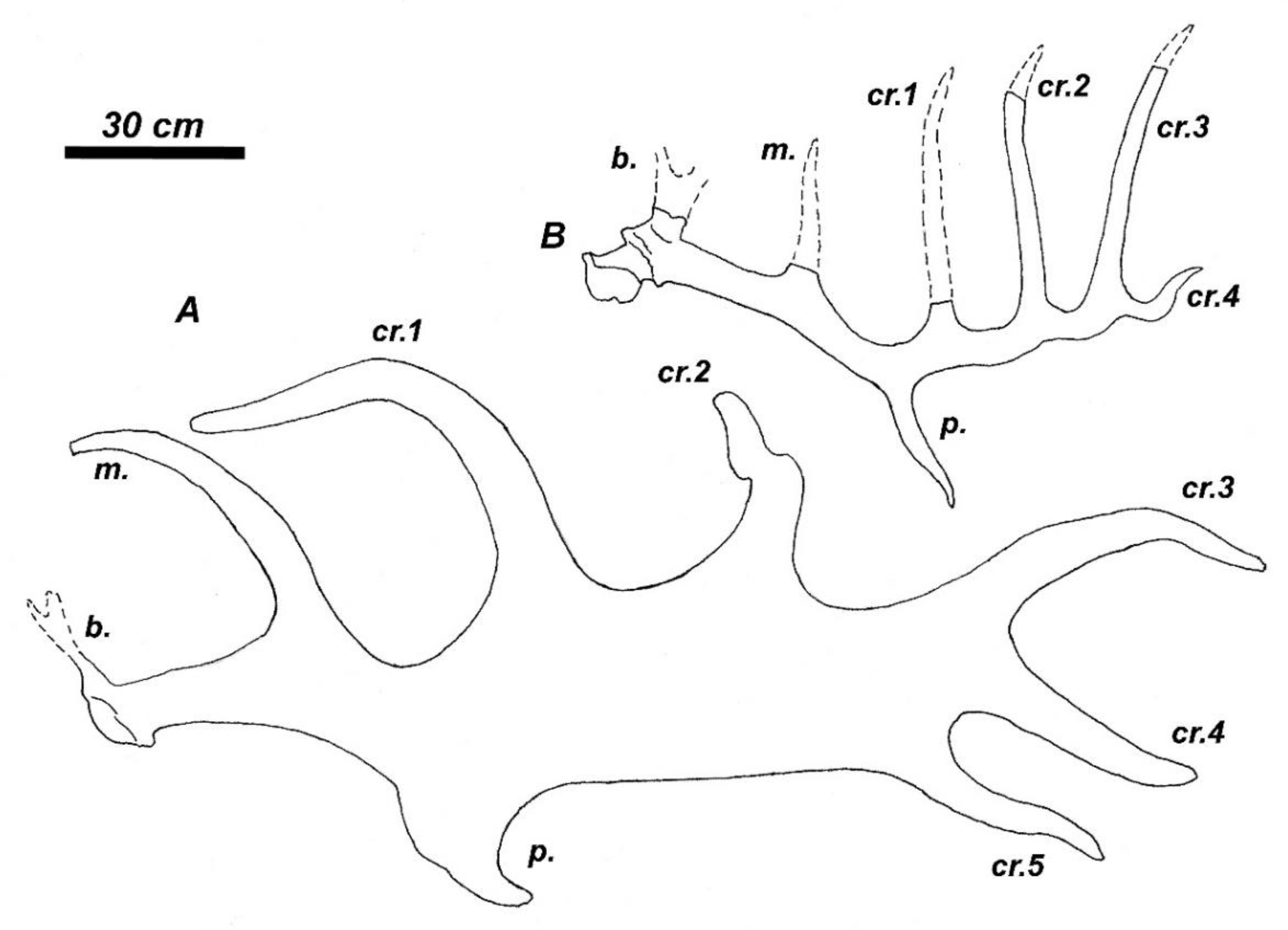 Quaternary 04 00036 g003