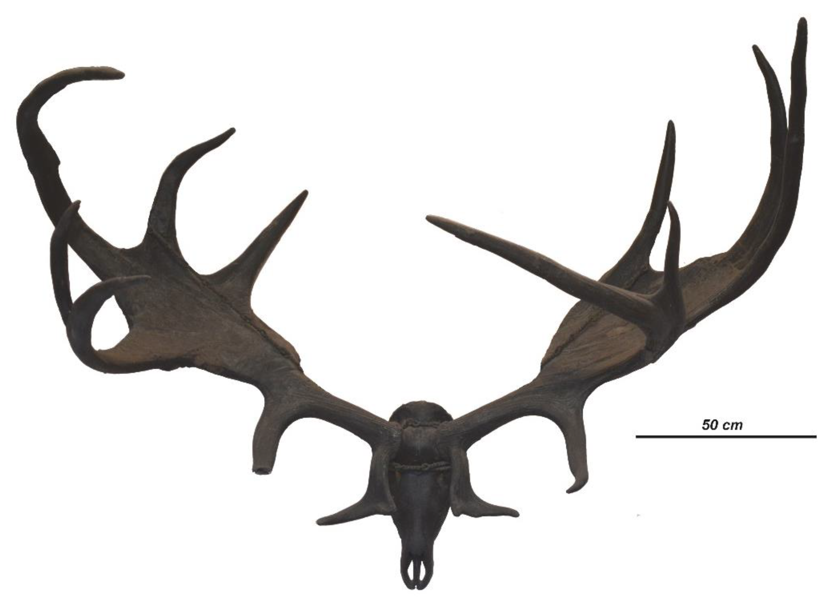 Quaternary 04 00036 g006