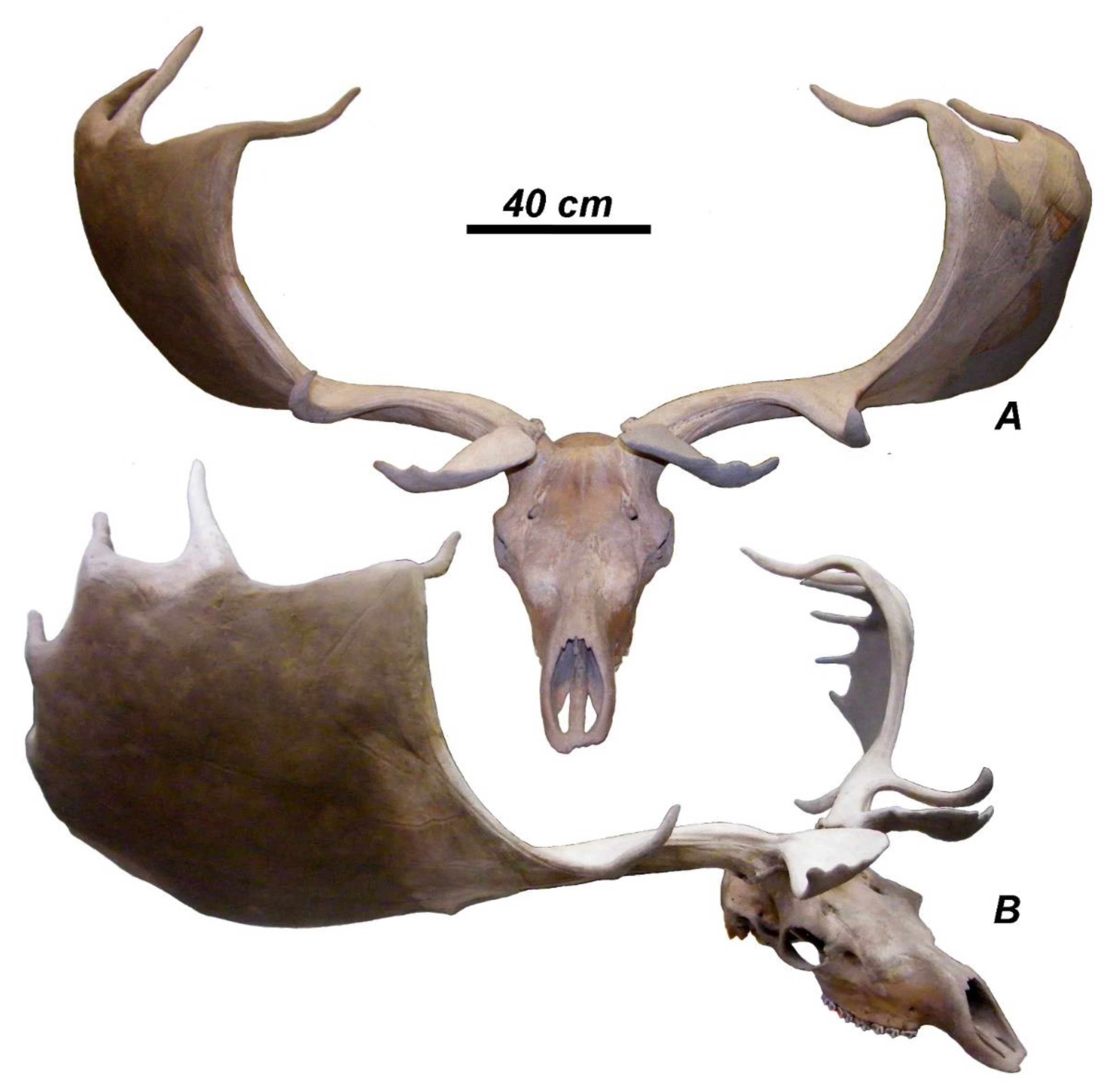 Quaternary 04 00036 g007
