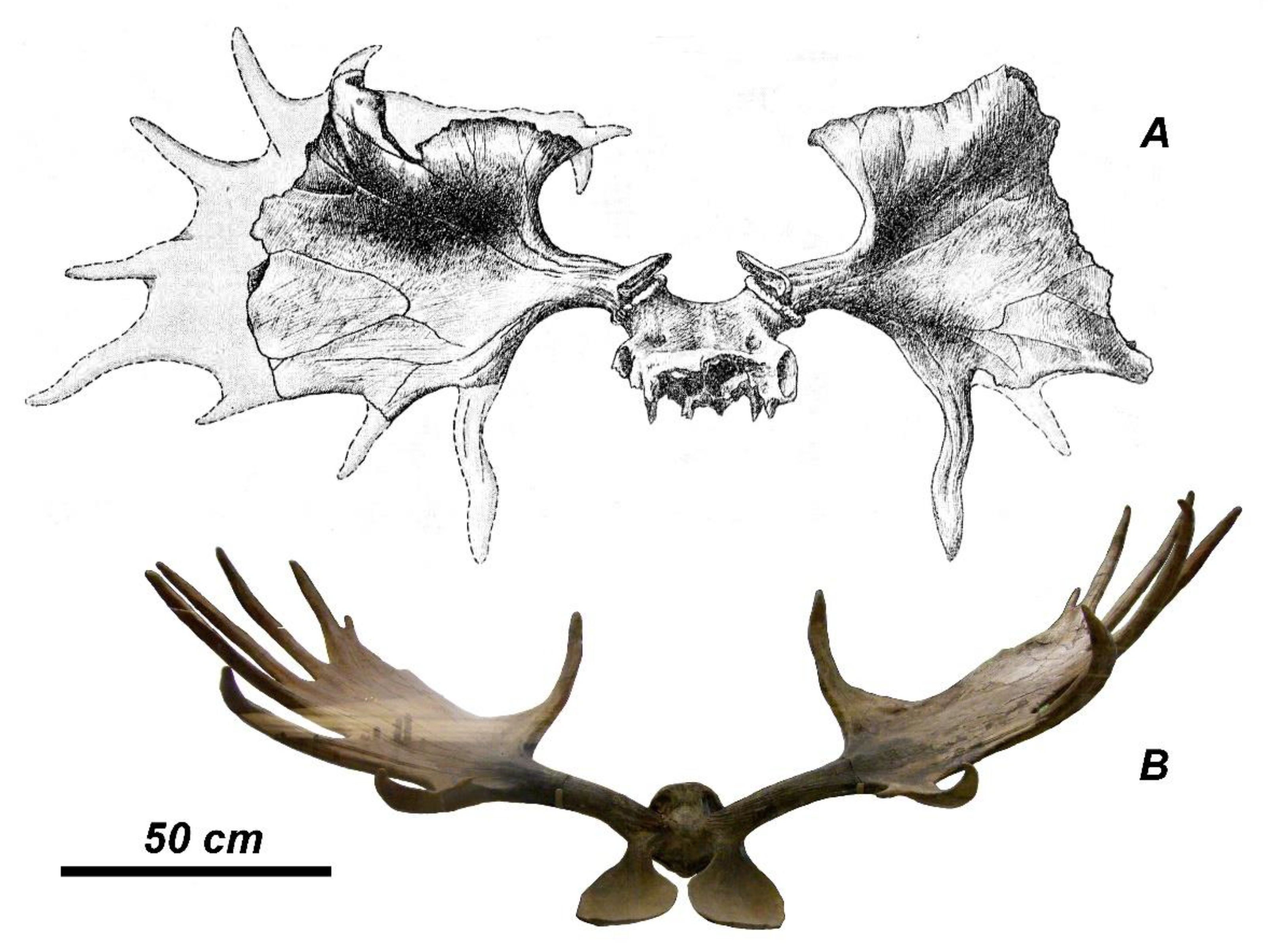 Quaternary 04 00036 g008