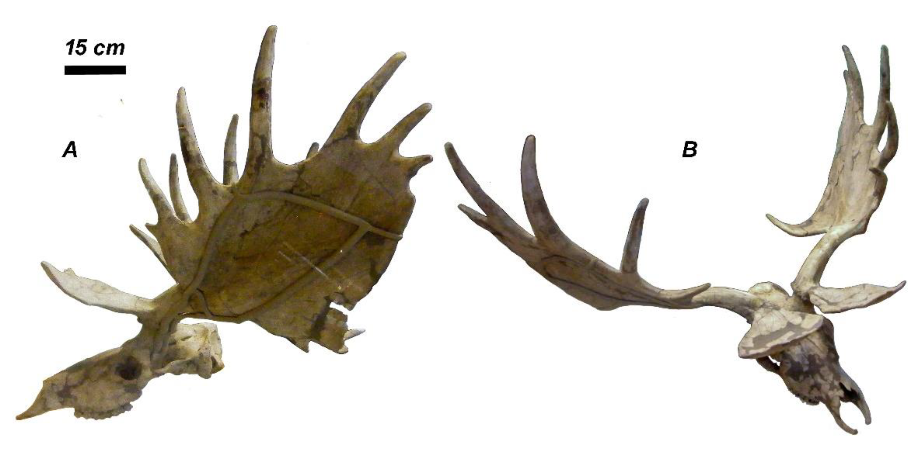 Quaternary 04 00036 g009