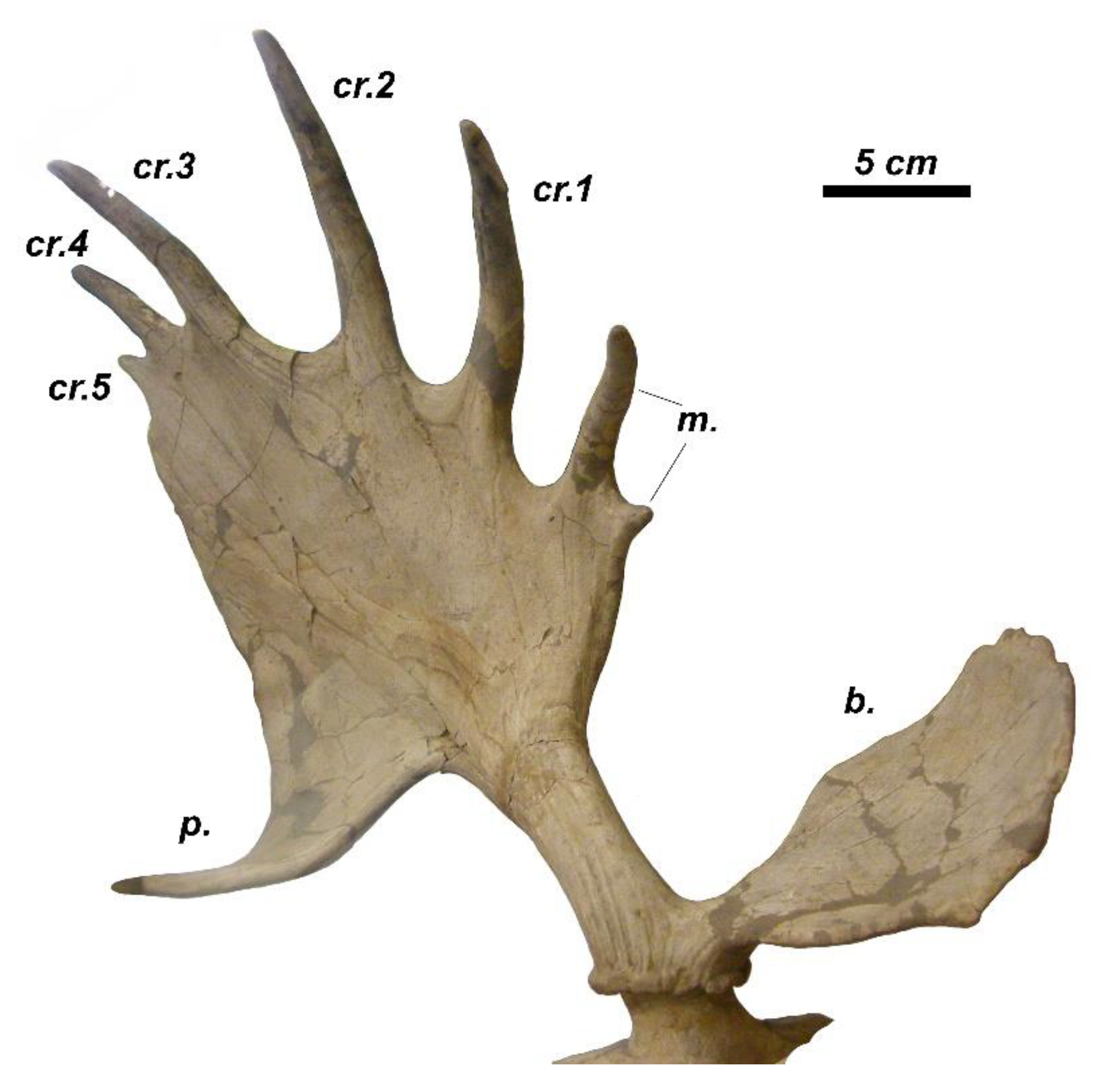 Quaternary 04 00036 g010